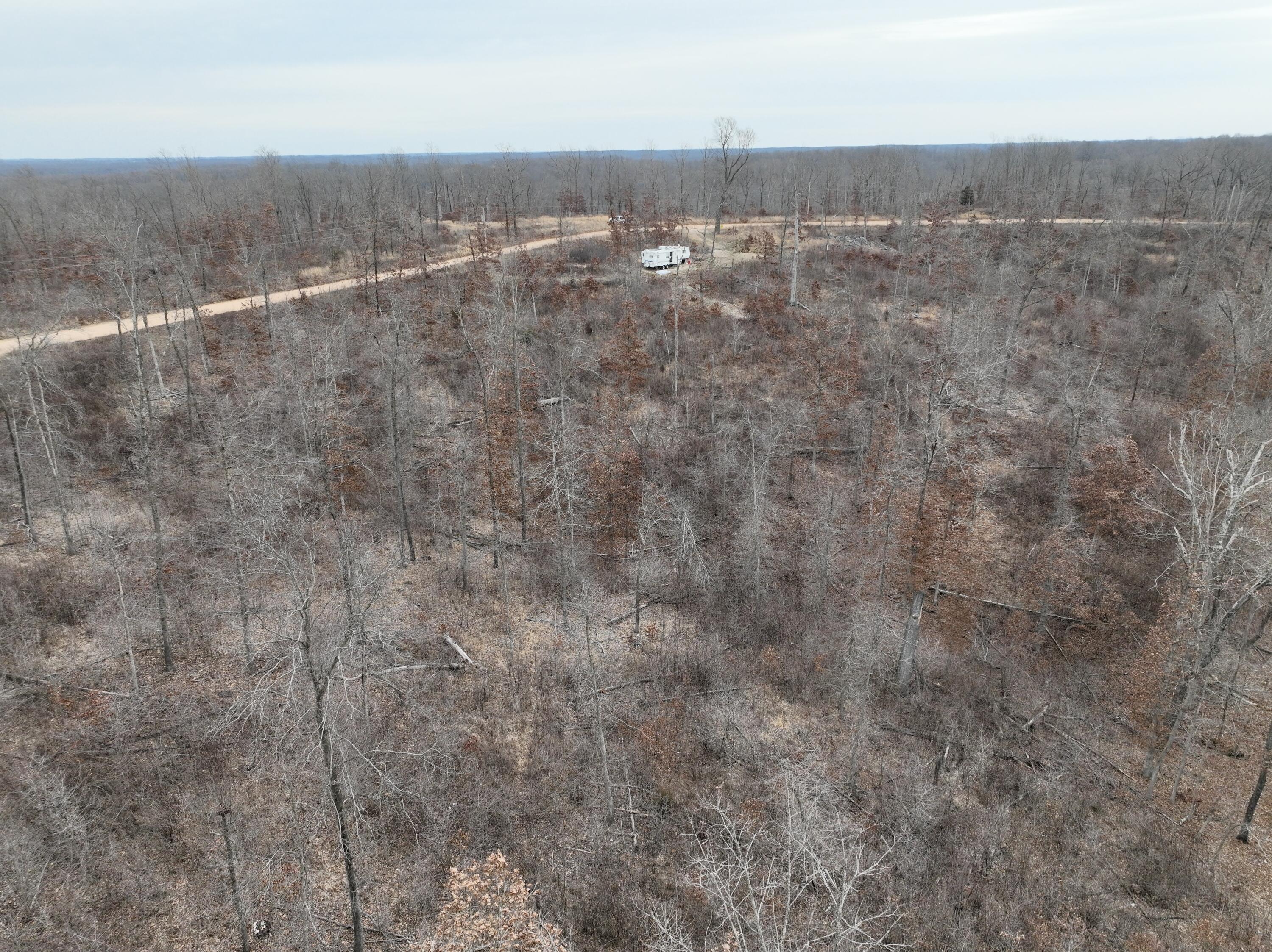 Photo 5 - Land for sale – 3130  Songbird Road  Powell, MO