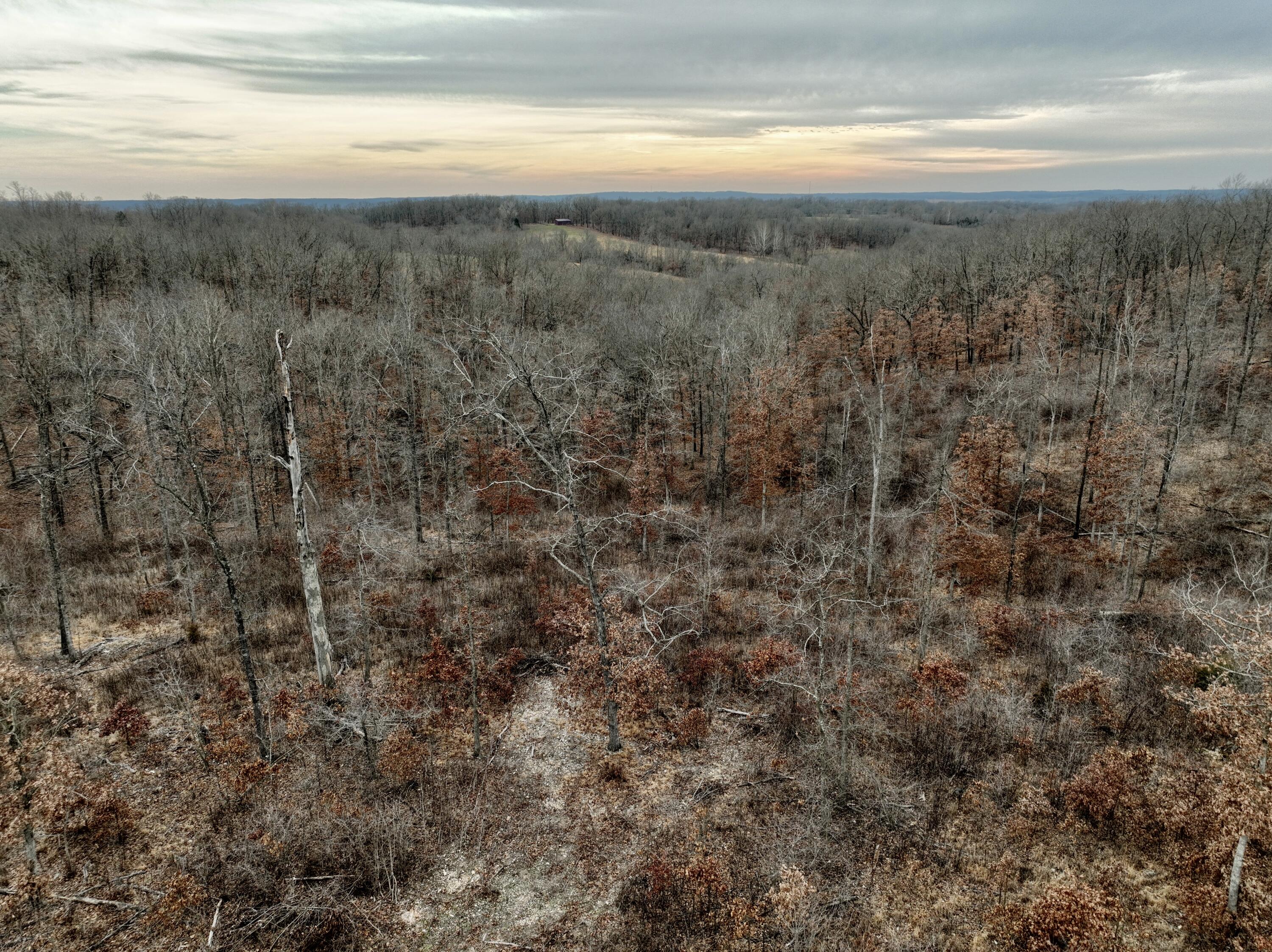 Photo 7 - Land for sale – 3130  Songbird Road  Powell, MO