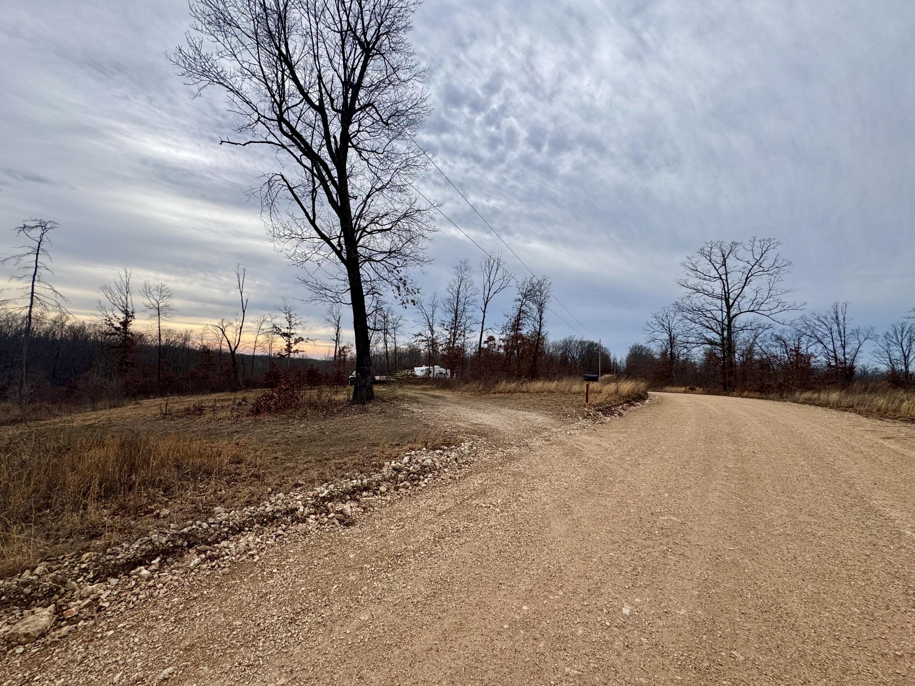 Photo 4 - Land for sale – 3130  Songbird Road  Powell, MO
