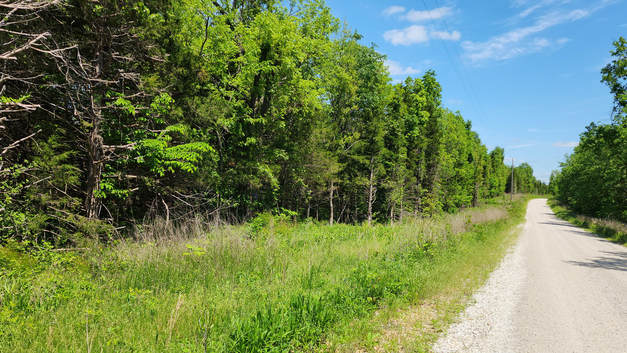 Photo 14 - Land for sale – 000  County Road 333   Polk, MO