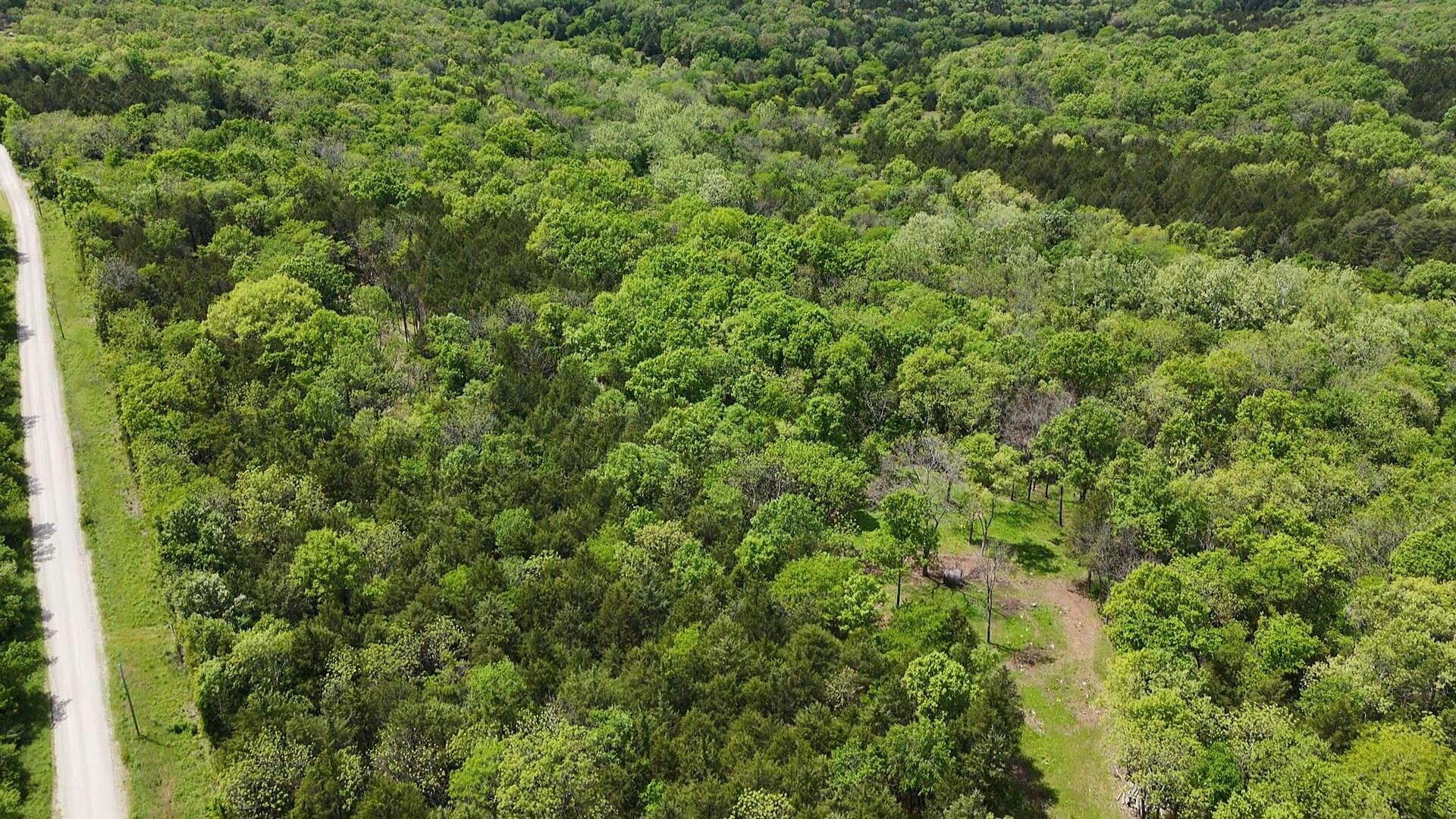 Photo 5 - Land for sale – 000  County Road 333   Polk, MO