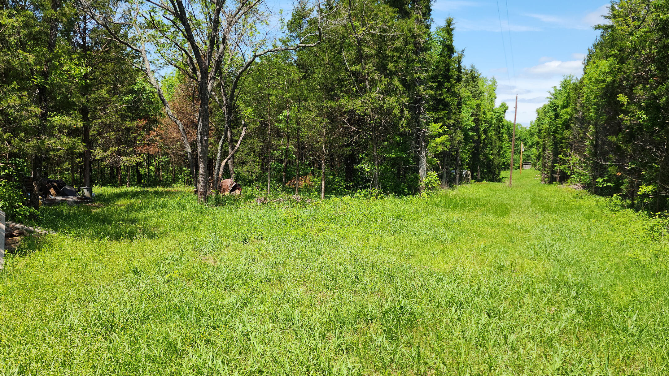 Photo 9 - Land for sale – 000  County Road 333   Polk, MO