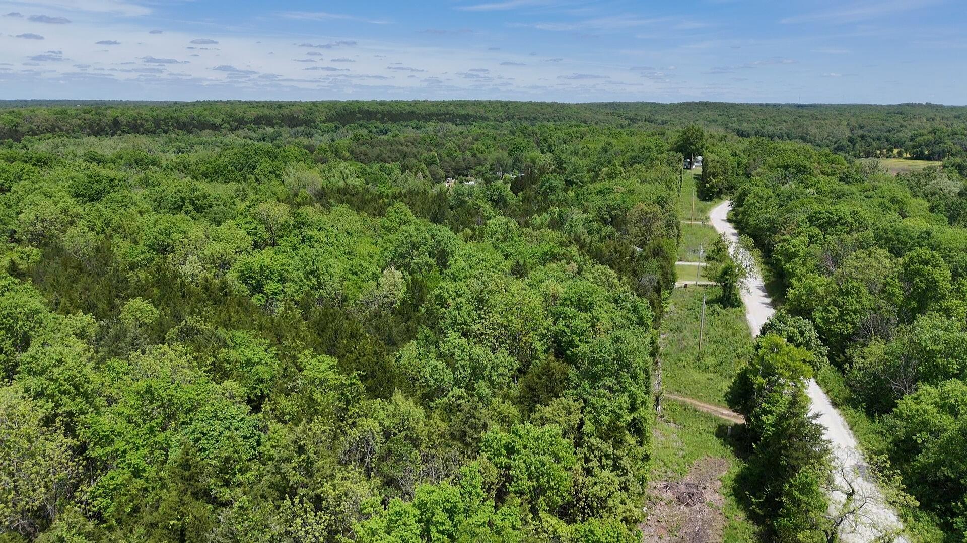 Photo 4 - Land for sale – 000  County Road 333   Polk, MO