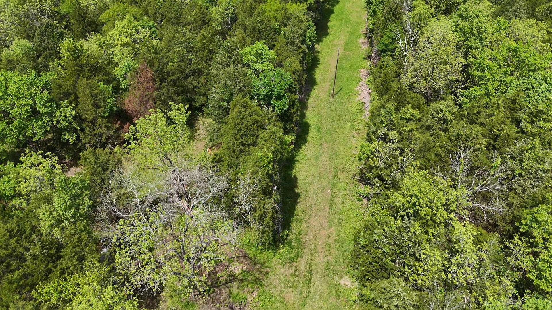Photo 7 - Land for sale – 000  County Road 333   Polk, MO