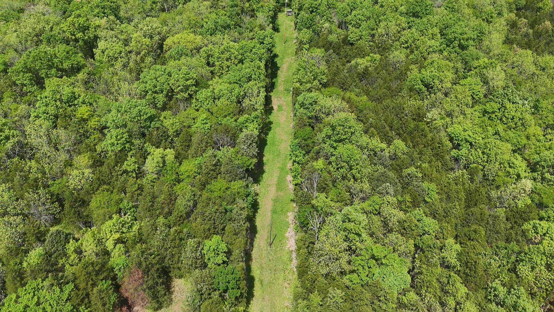Photo 3 - Land for sale – 000  County Road 333   Polk, MO