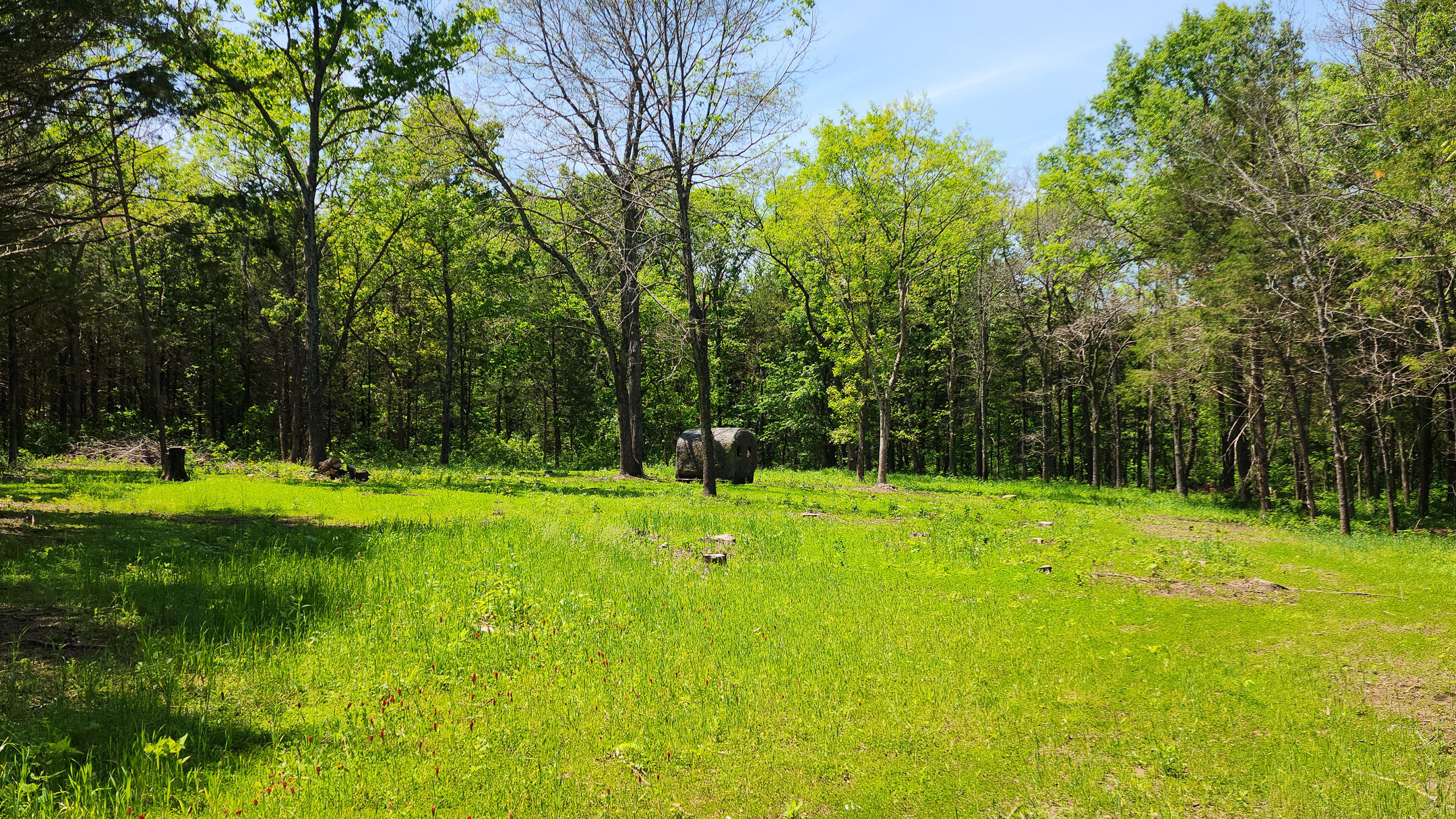 Land for sale – 000  County Road 333   Polk, MO