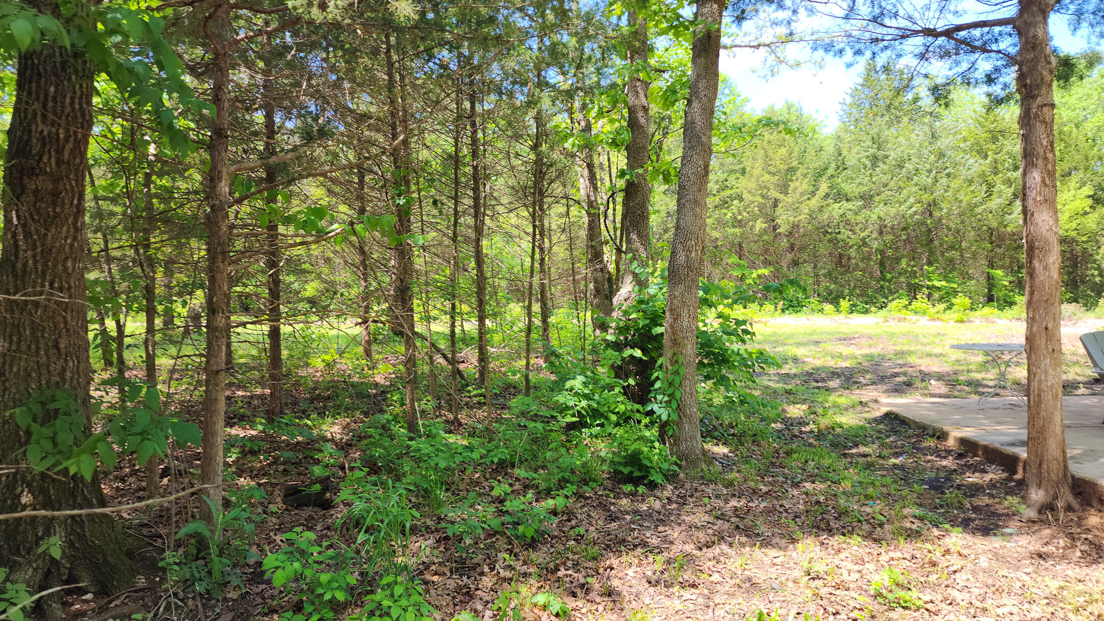Photo 11 - Land for sale – 27831  Crd 333   Polk, MO