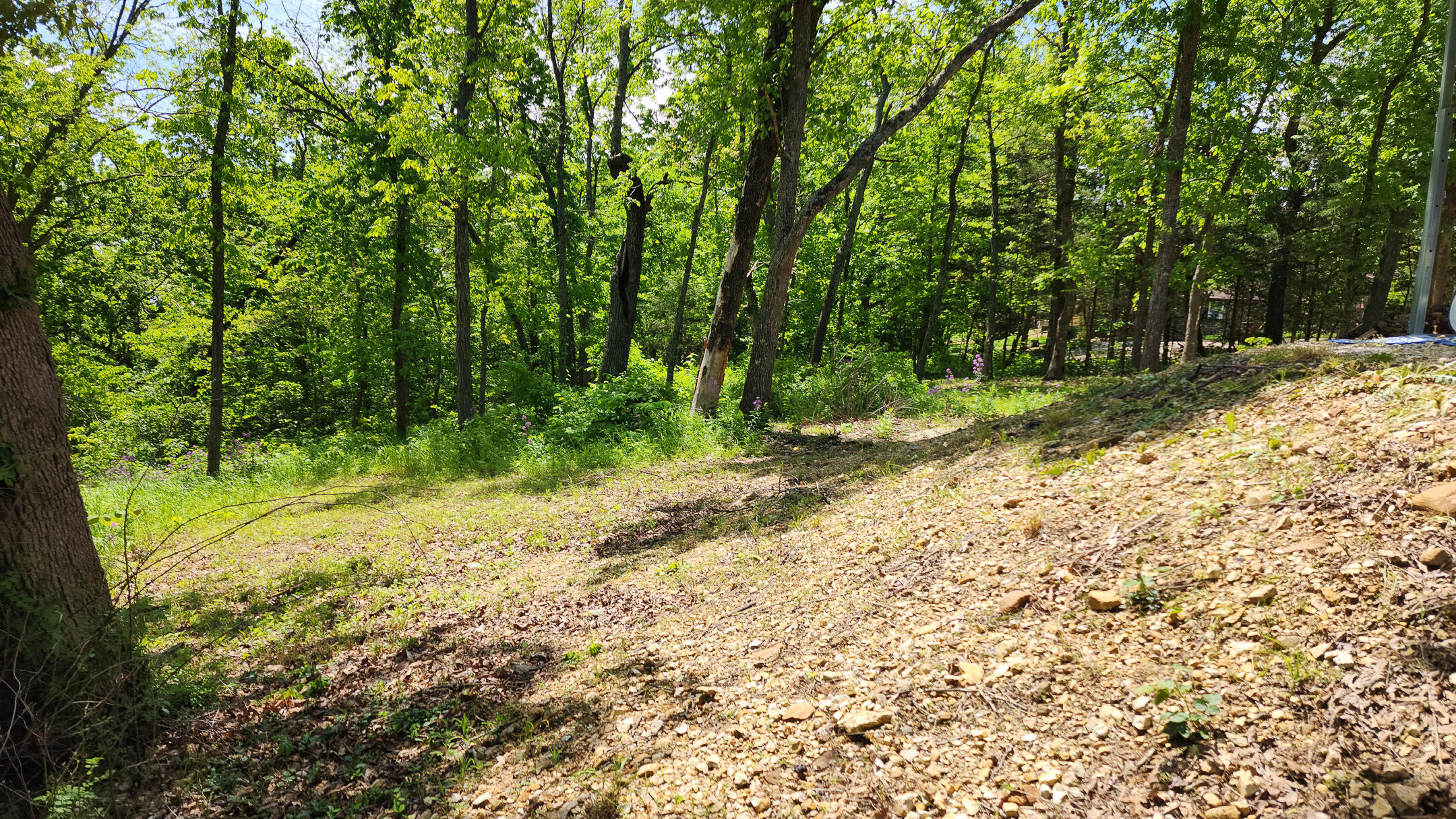 Photo 13 - Land for sale – 27831  Crd 333   Polk, MO