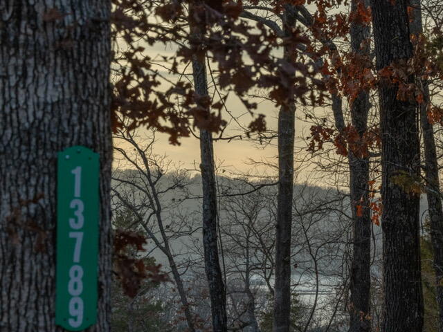 Photo 8 - Land for sale – 13789 N Branch   Omaha, AR