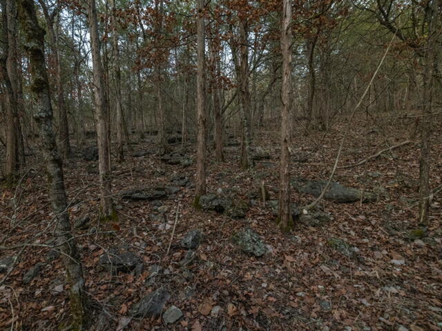 Photo 17 - Land for sale – 13789 N Branch   Omaha, AR