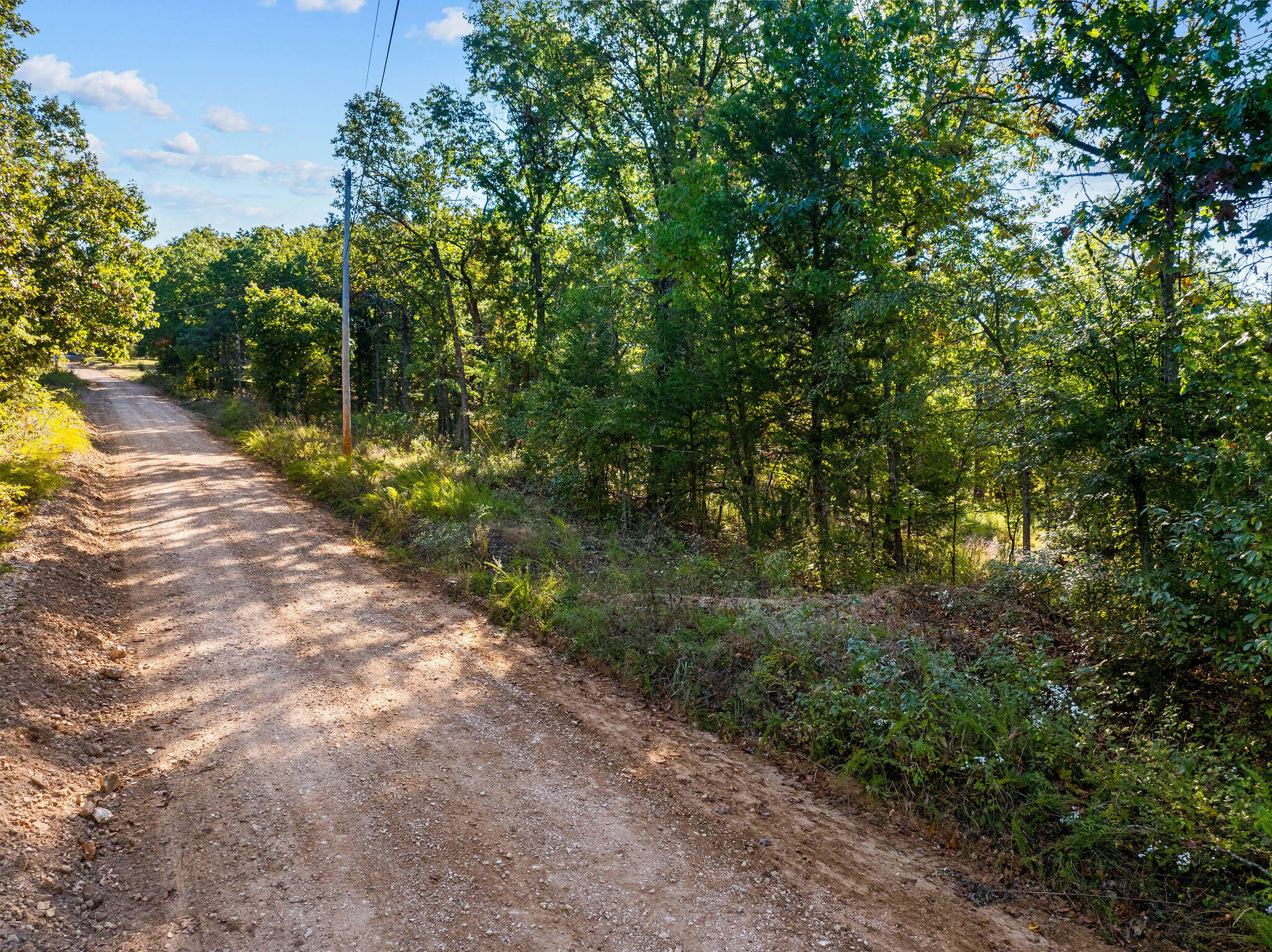 Photo 12 - Land for sale – 13789 N Branch   Omaha, AR