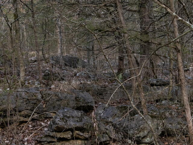 Photo 9 - Land for sale – 13789 N Branch   Omaha, AR