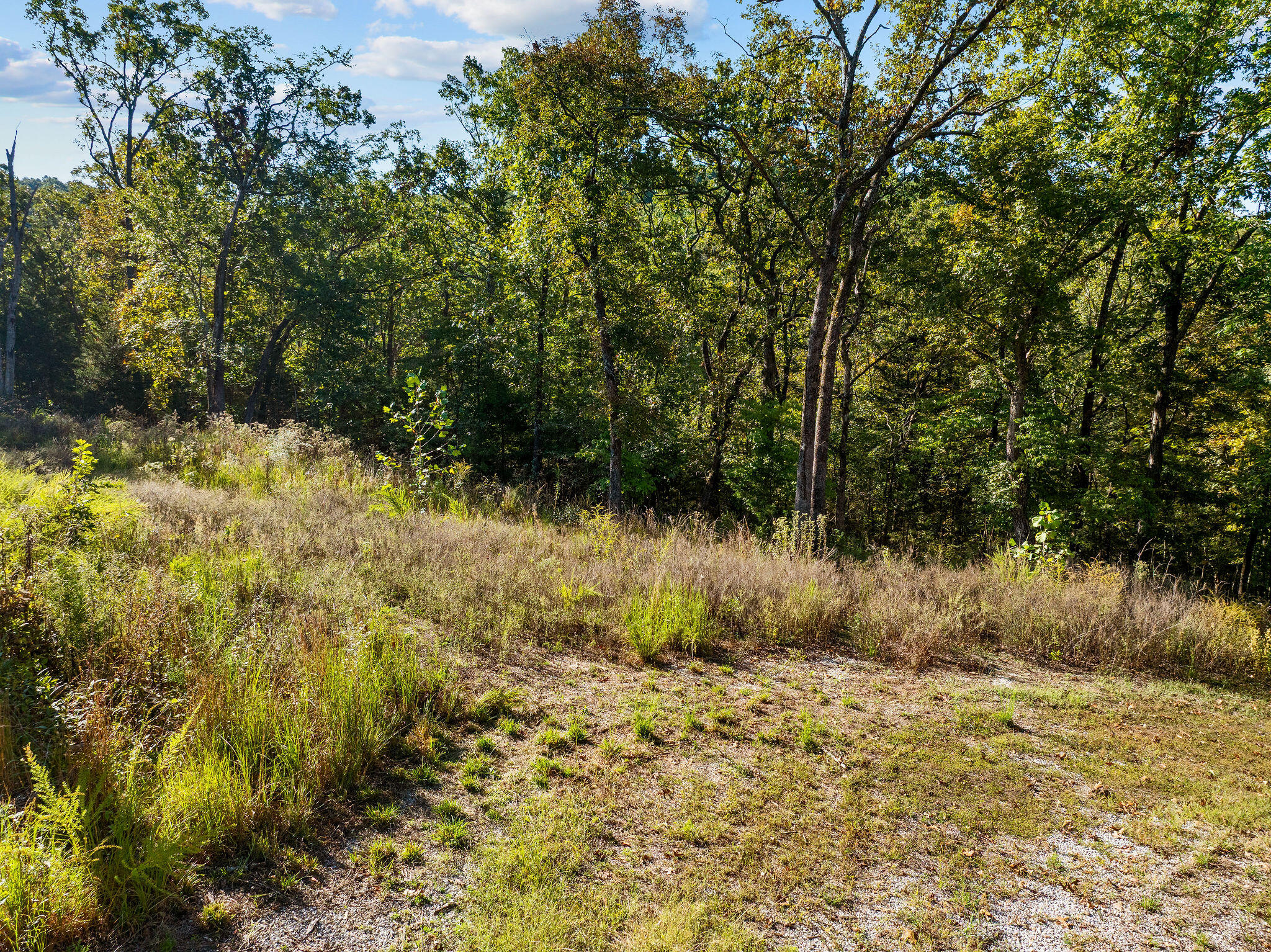 Photo 5 - Land for sale – 13789 N Branch   Omaha, AR