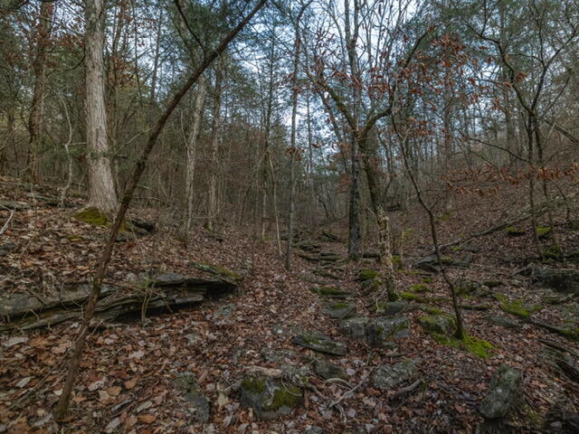 Photo 11 - Land for sale – 13789 N Branch   Omaha, AR