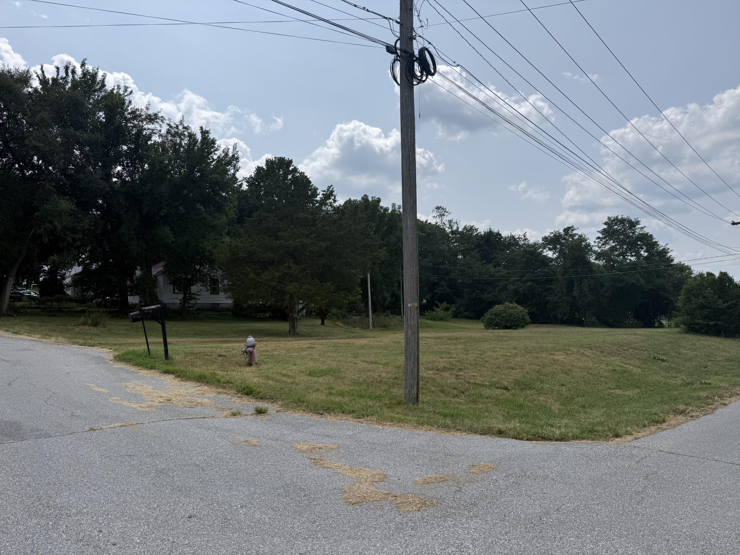 Photo 7 - Land for sale – 355&357  Roberts & 558 Gibbs Dr   Mt Vernon, MO
