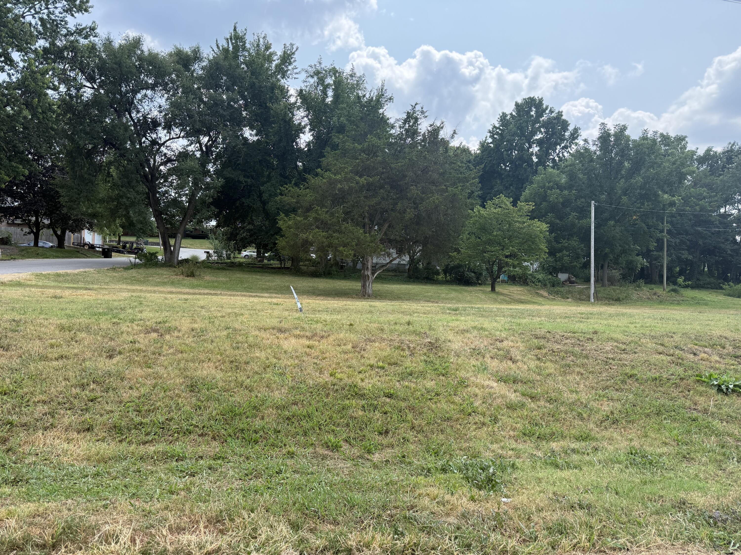 Photo 10 - Land for sale – 355&357  Roberts & 558 Gibbs Dr   Mt Vernon, MO