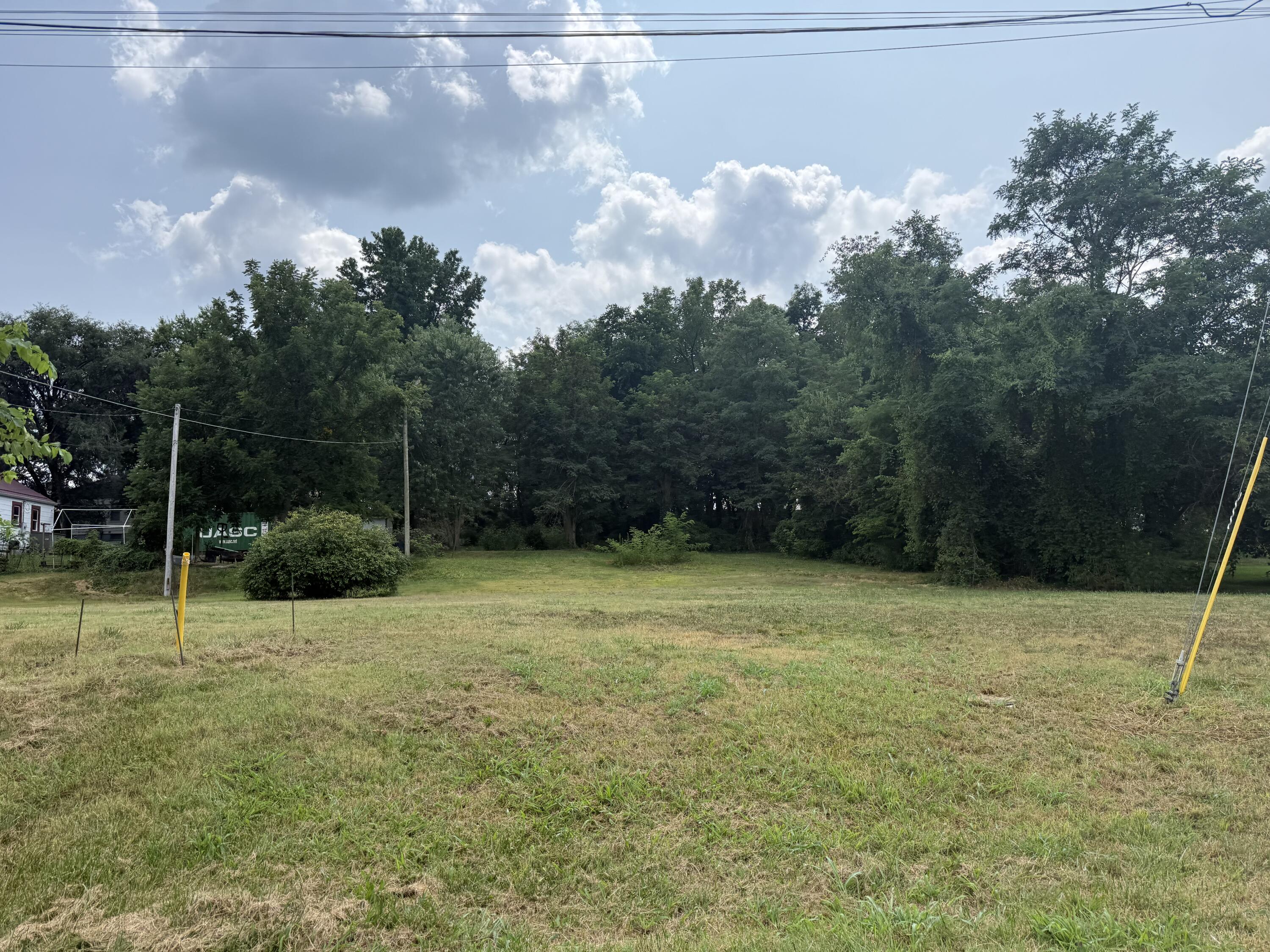 Photo 3 - Land for sale – 355&357  Roberts & 558 Gibbs Dr   Mt Vernon, MO