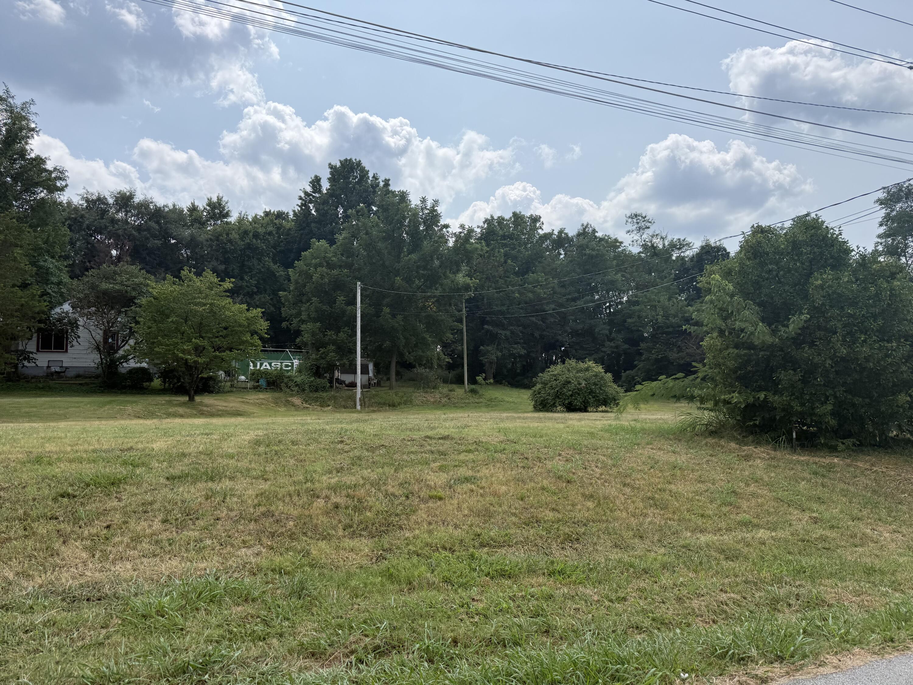 Photo 6 - Land for sale – 355&357  Roberts & 558 Gibbs Dr   Mt Vernon, MO