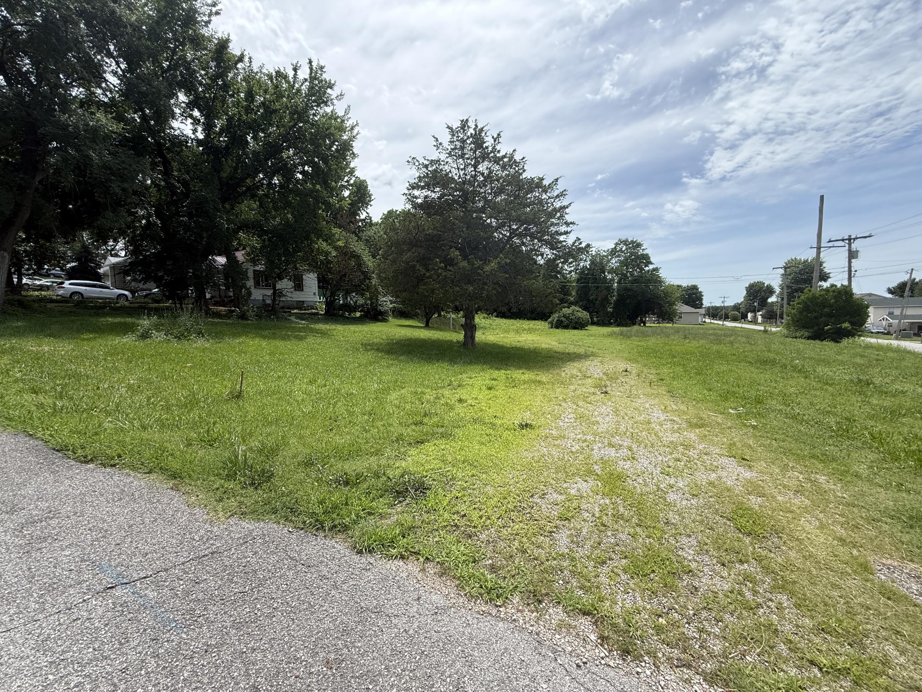 Photo 4 - Land for sale – 355&357  Roberts & 558 Gibbs Dr   Mt Vernon, MO