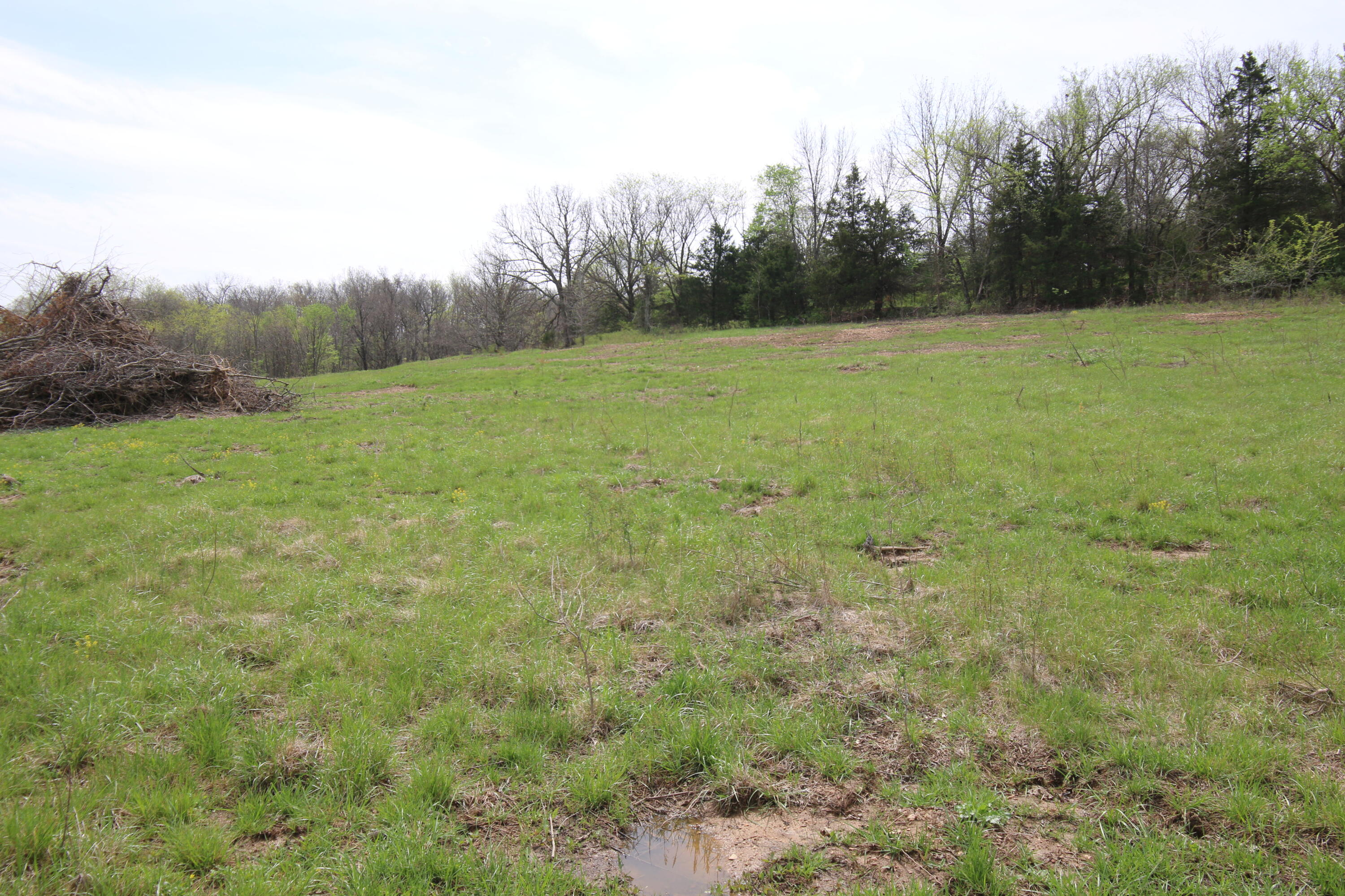 Photo 3 - Land for sale – 000  River Pass Drive  Marshfield, MO