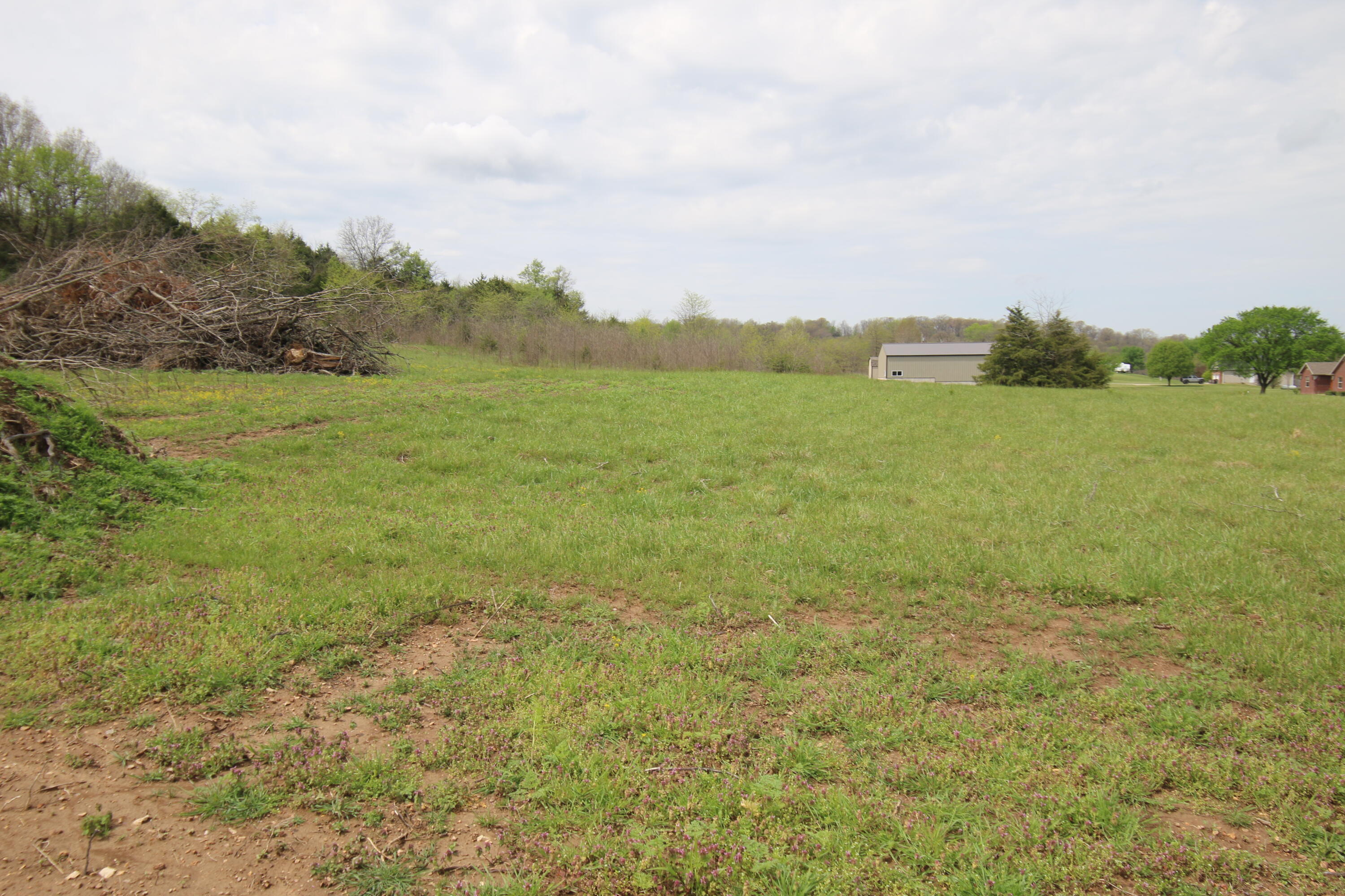 Photo 5 - Land for sale – 000  River Pass Drive  Marshfield, MO