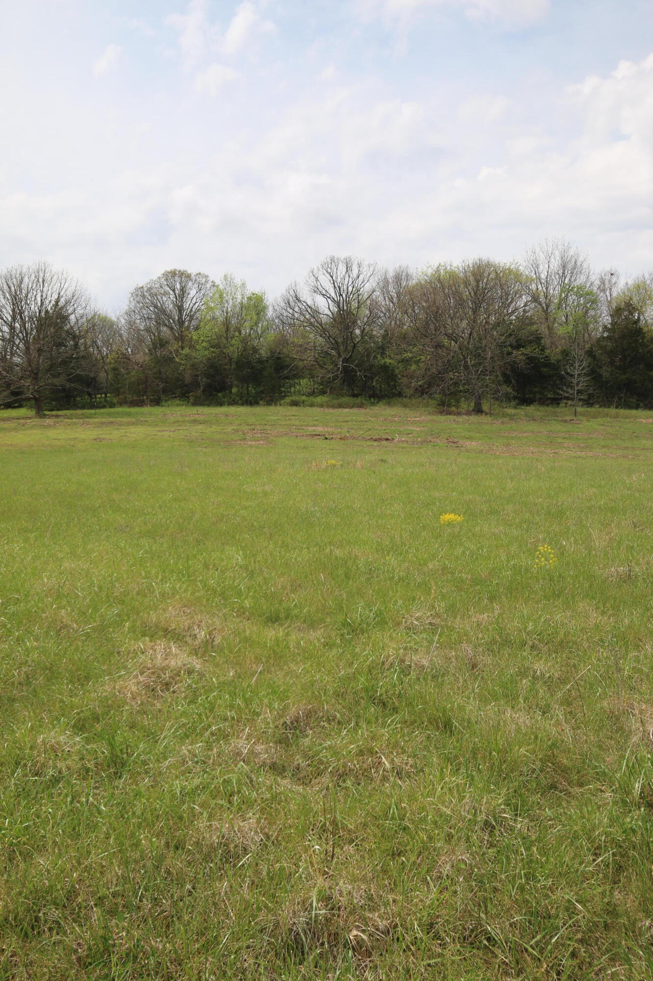 Photo 6 - Land for sale – 000  River Pass Drive  Marshfield, MO