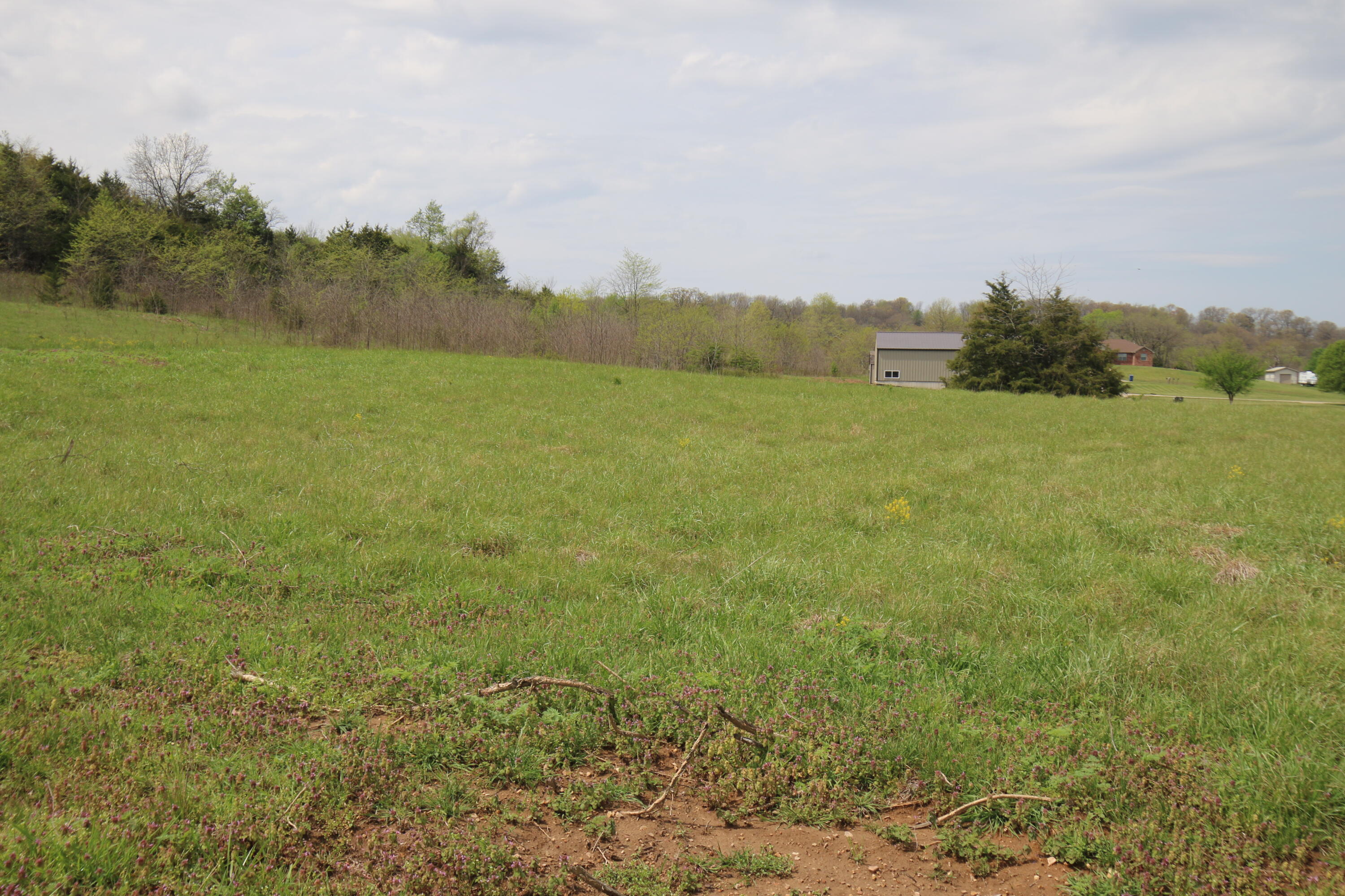 Photo 8 - Land for sale – 000  River Pass Drive  Marshfield, MO