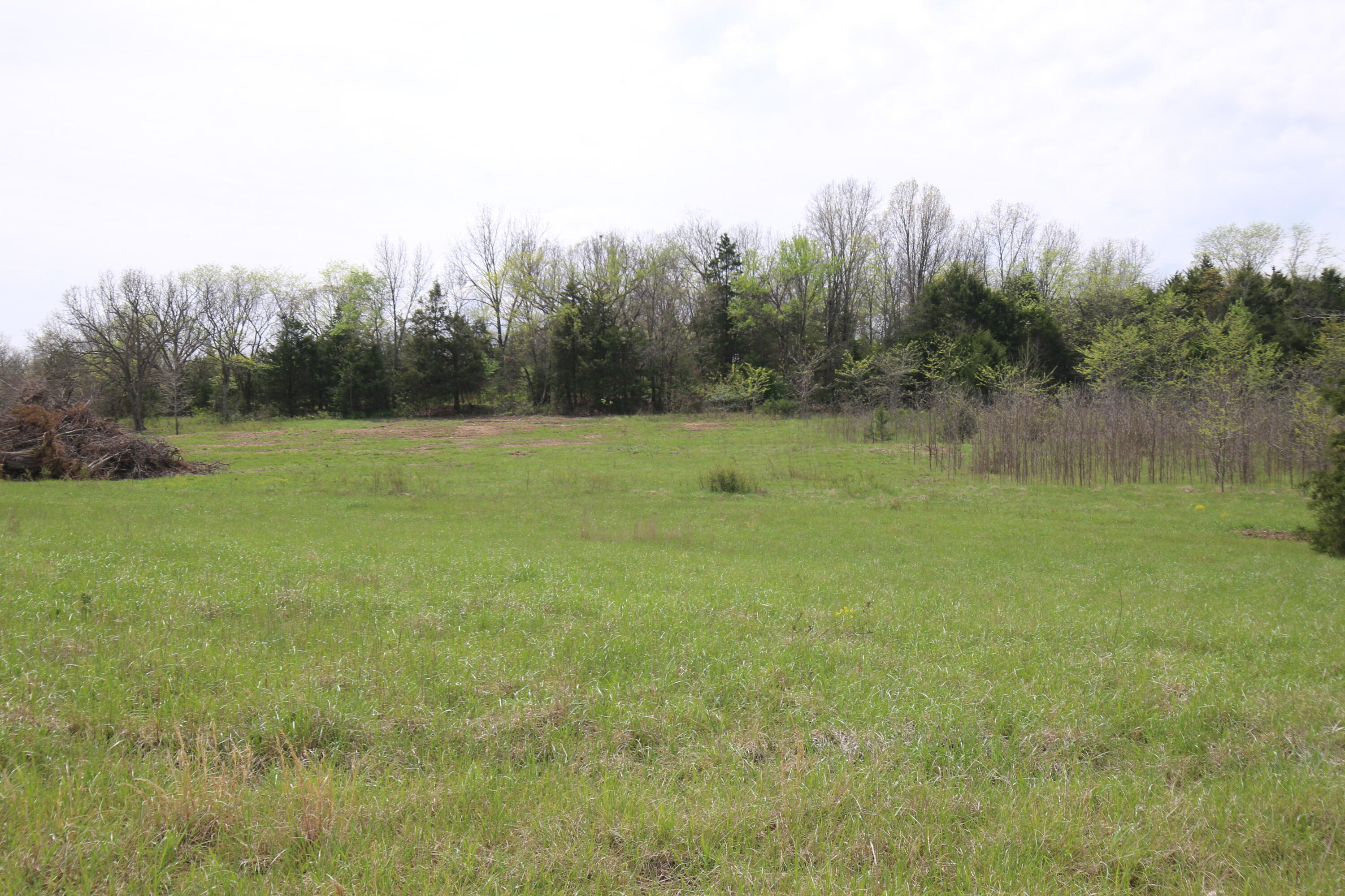 Photo 10 - Land for sale – 000  River Pass Drive  Marshfield, MO