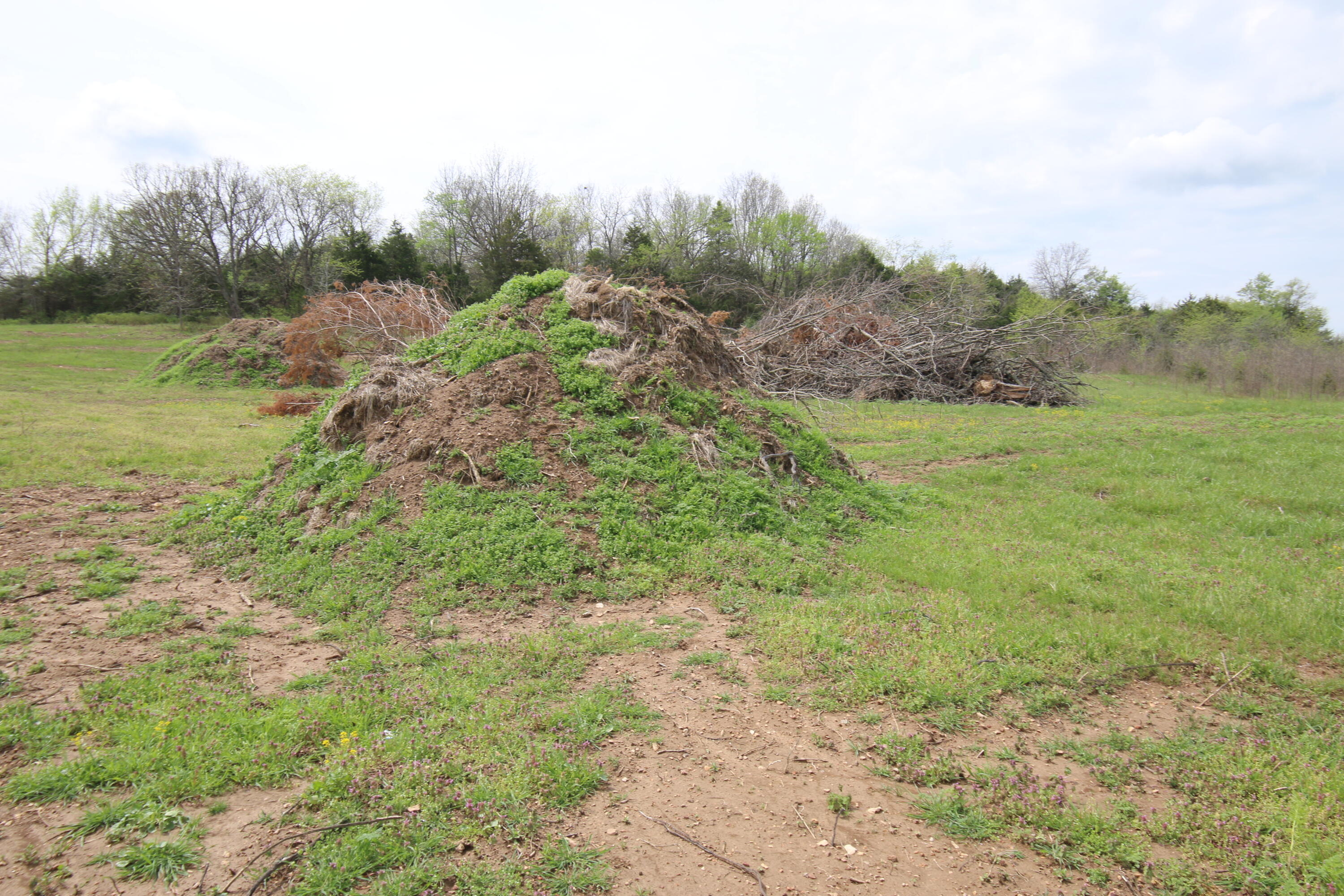 Photo 4 - Land for sale – 000  River Pass Drive  Marshfield, MO