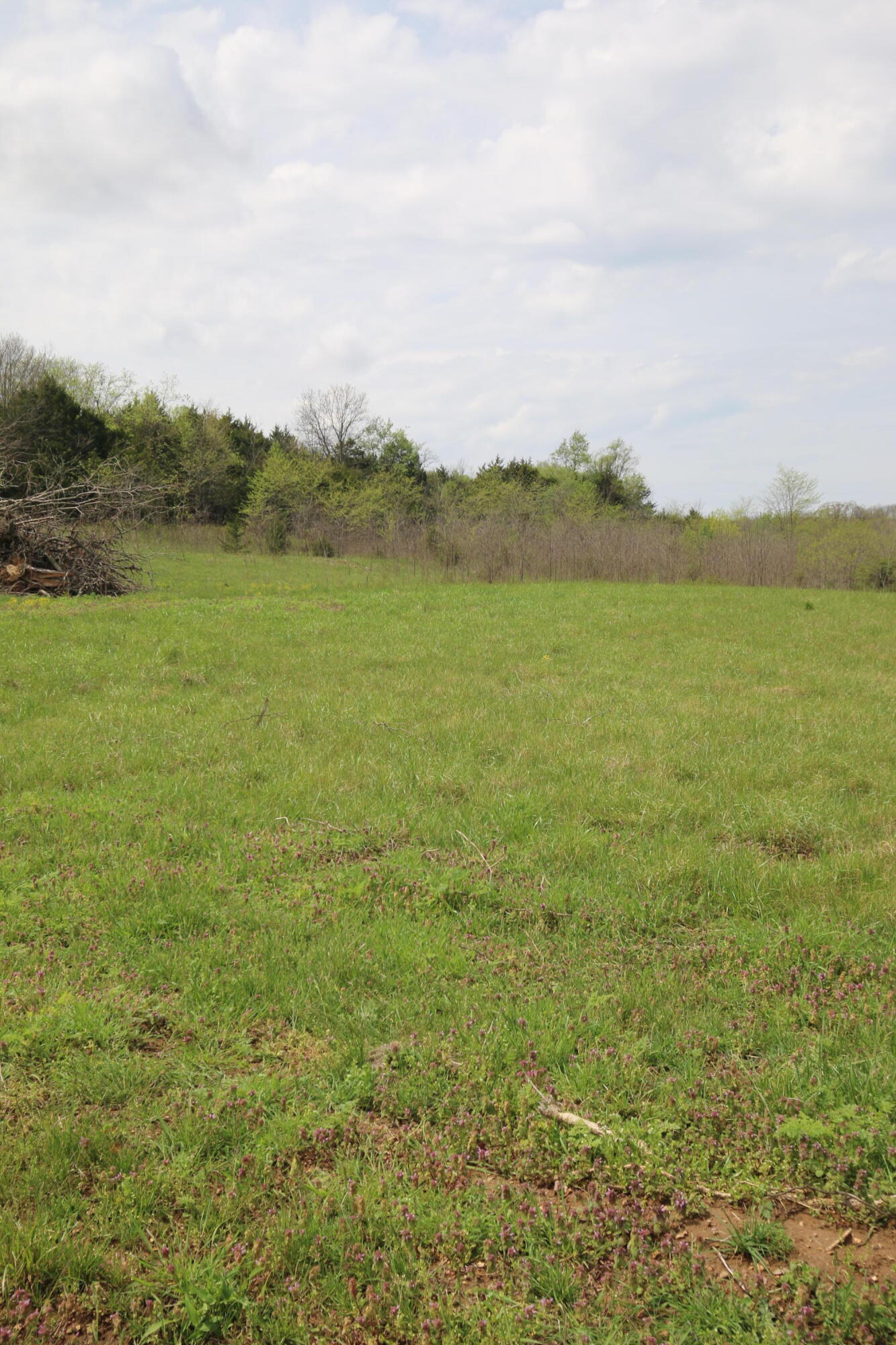 Photo 9 - Land for sale – 000  River Pass Drive  Marshfield, MO