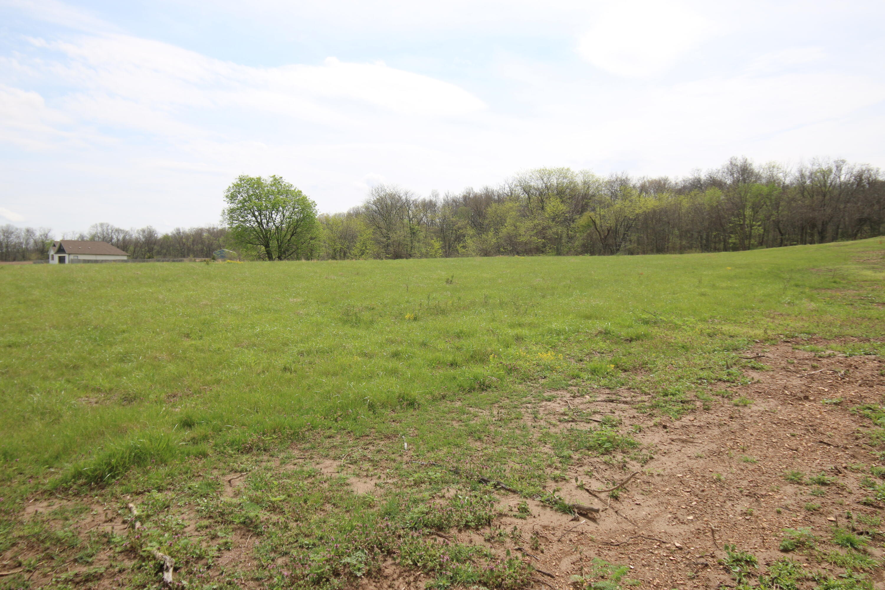 Photo 10 - Land for sale – 000  River Pass Drive  Marshfield, MO