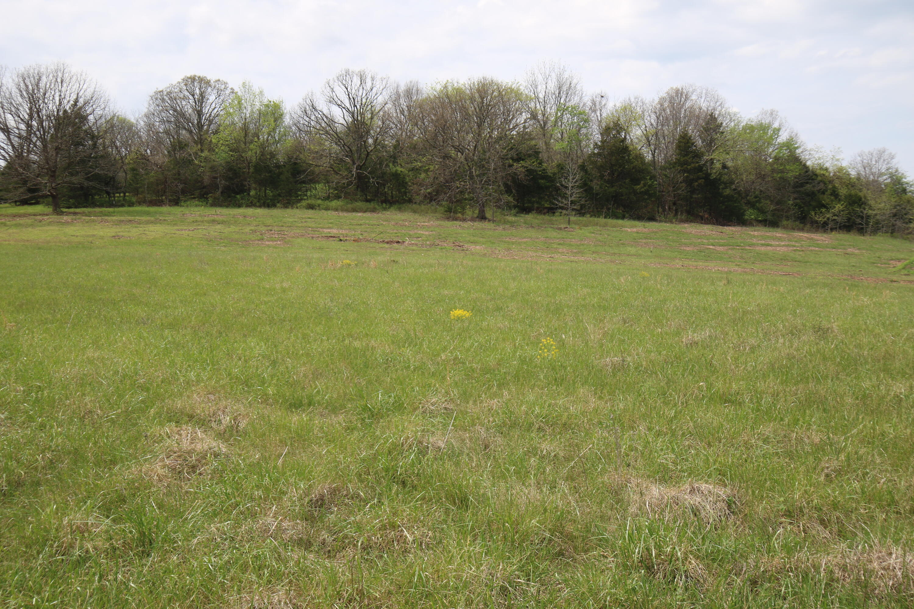 Land for sale – 000  River Pass Drive  Marshfield, MO