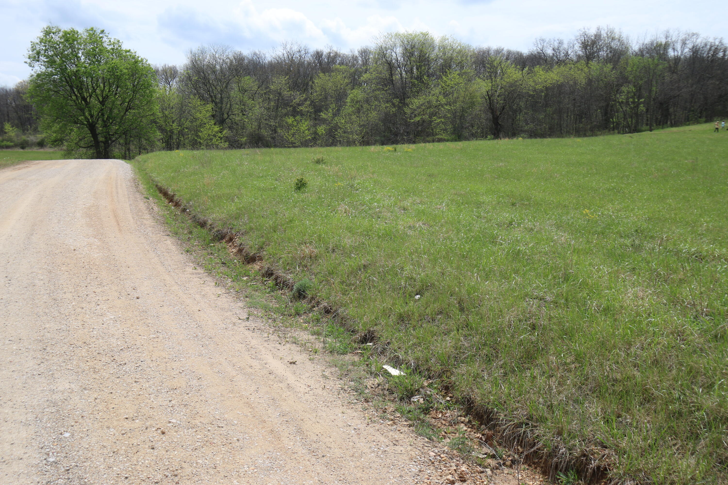 Photo 7 - Land for sale – 000  River Pass Drive  Marshfield, MO