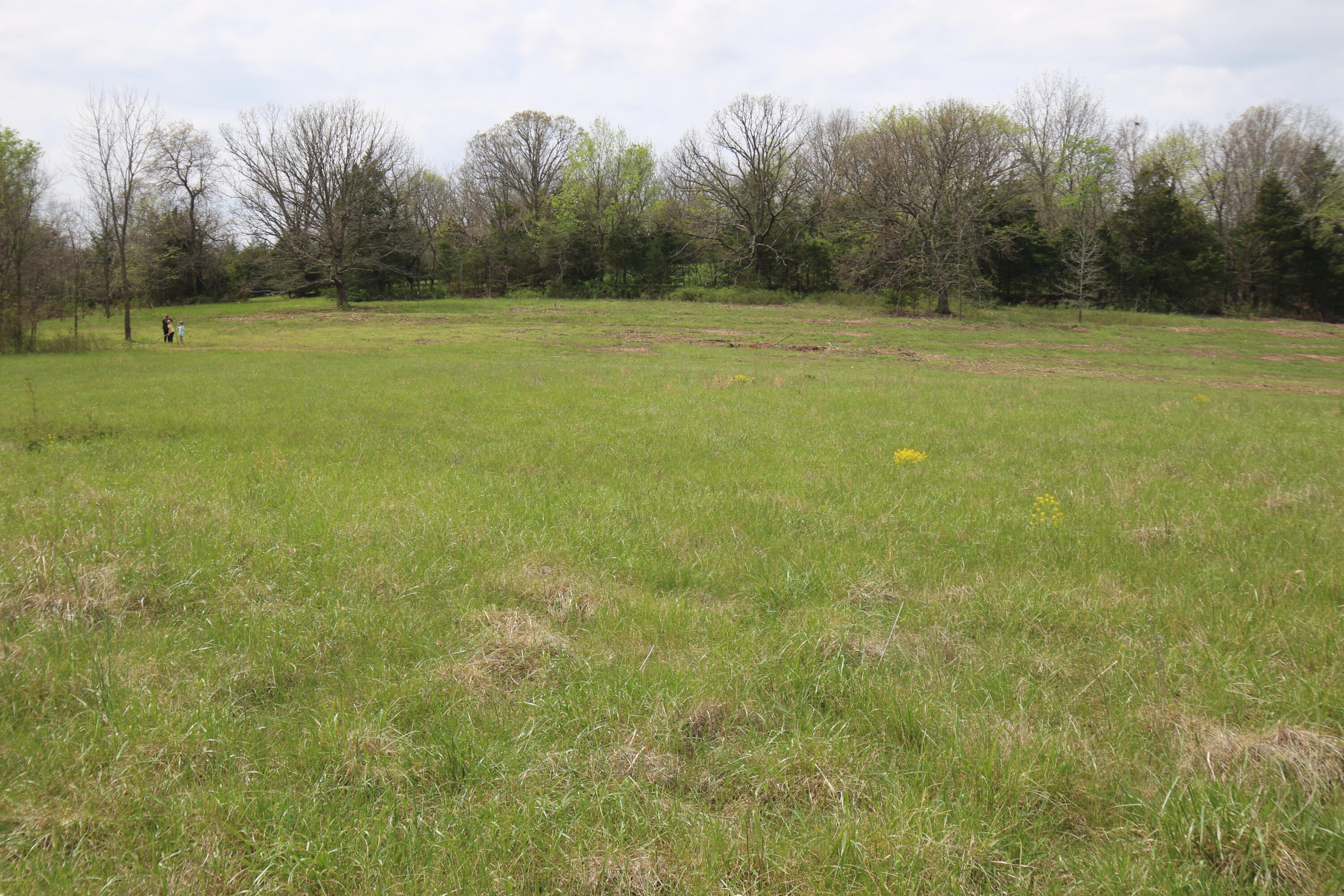 Photo 9 - Land for sale – 000  River Pass Drive  Marshfield, MO
