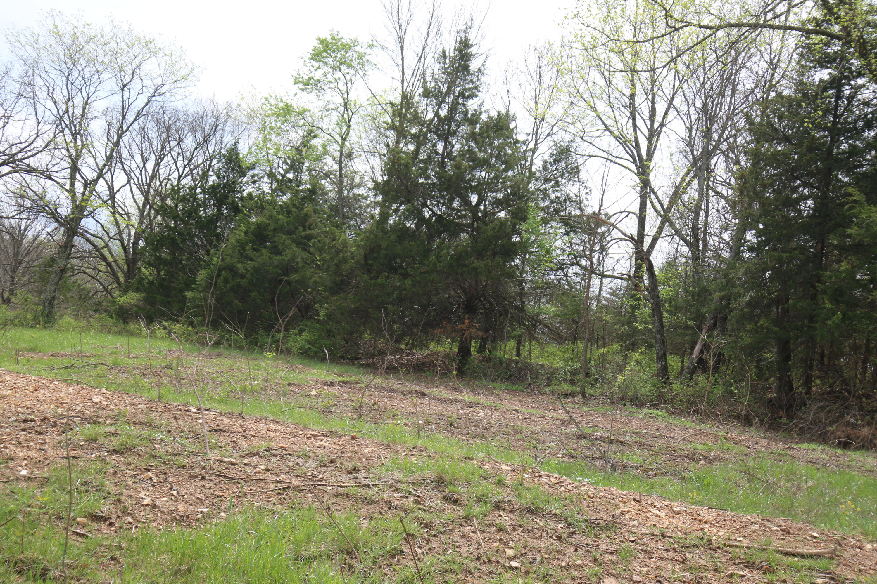 Photo 5 - Land for sale – 000  River Pass Drive  Marshfield, MO