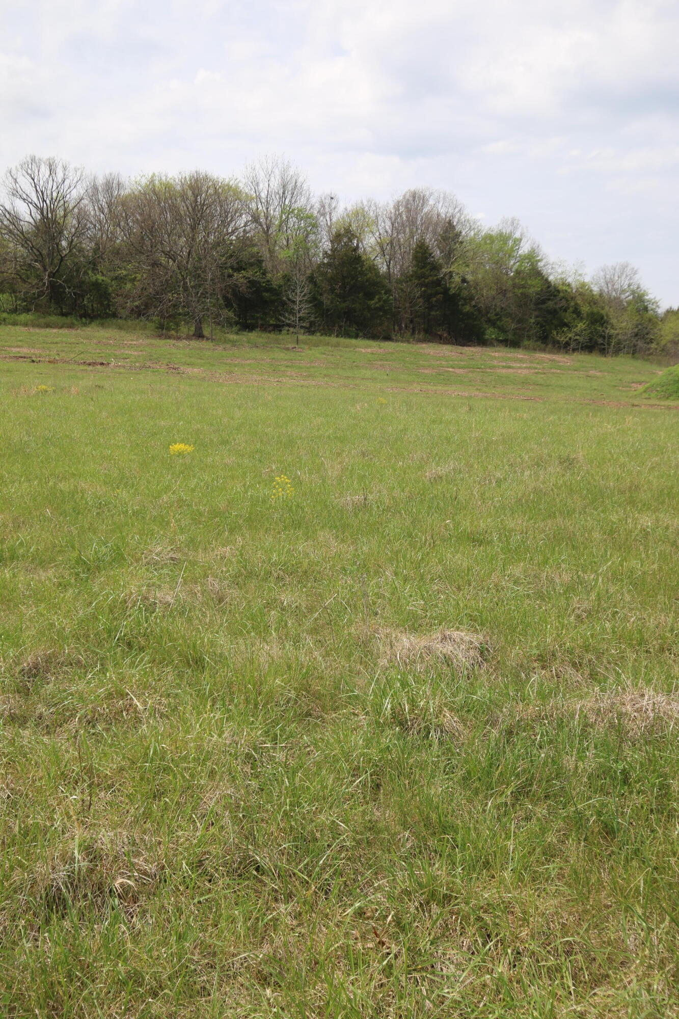 Photo 6 - Land for sale – 000  River Pass Drive  Marshfield, MO