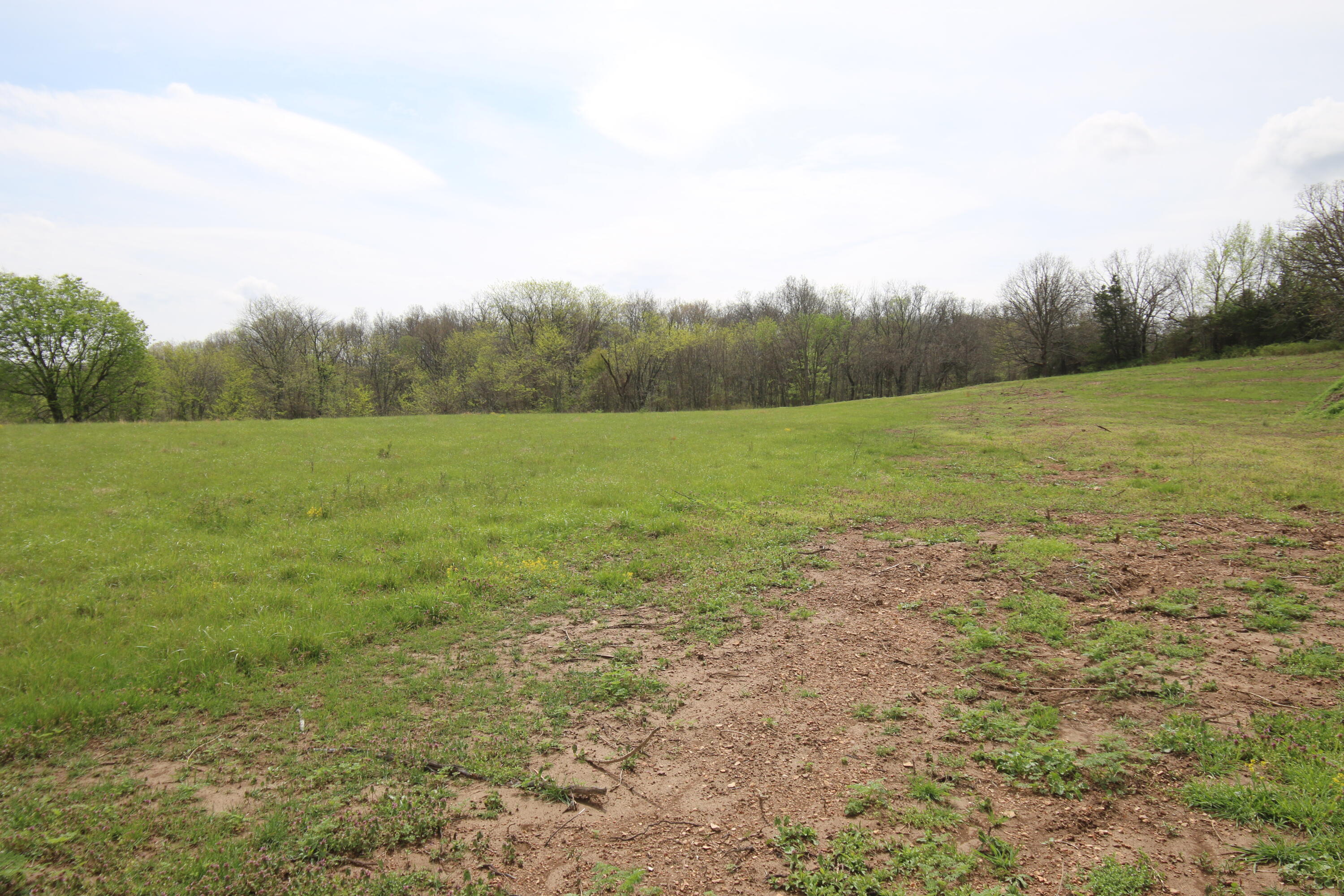 Photo 8 - Land for sale – 000  River Pass Drive  Marshfield, MO