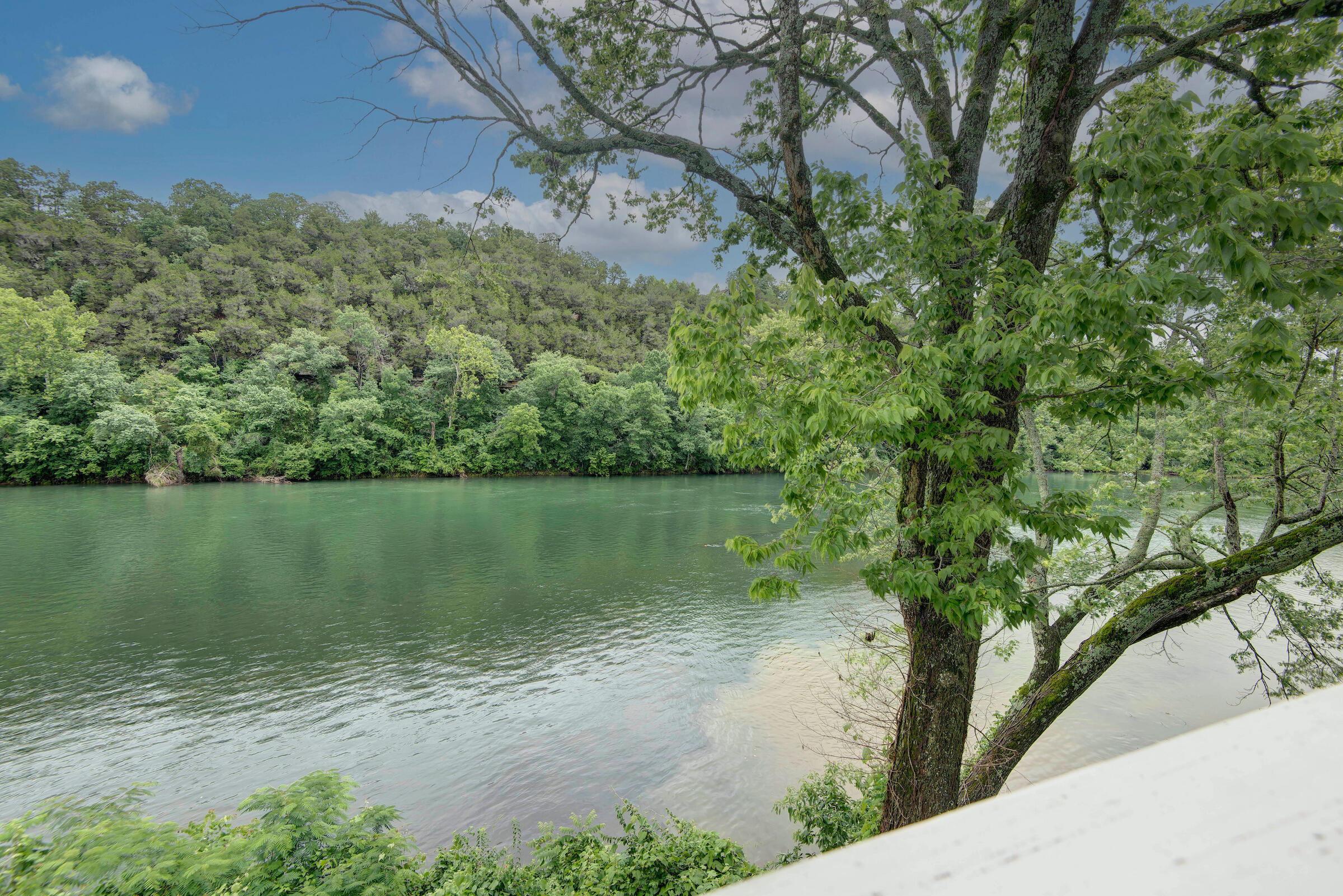 Photo 5 - Residential for sale – 146  River Point Road  Hollister, MO