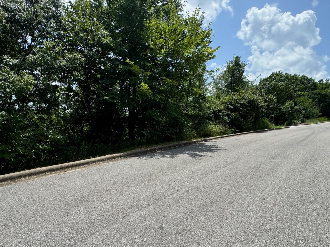 Photo 5 - Land for sale – 204 -  Crescent Drive (Lot 204)   Hollister, MO