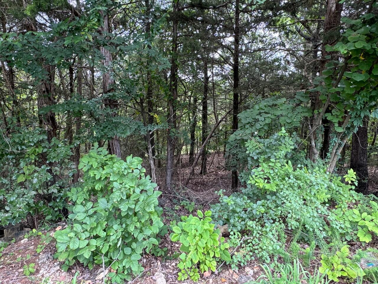 Photo 7 - Land for sale – 204 -  Crescent Drive (Lot 204)   Hollister, MO