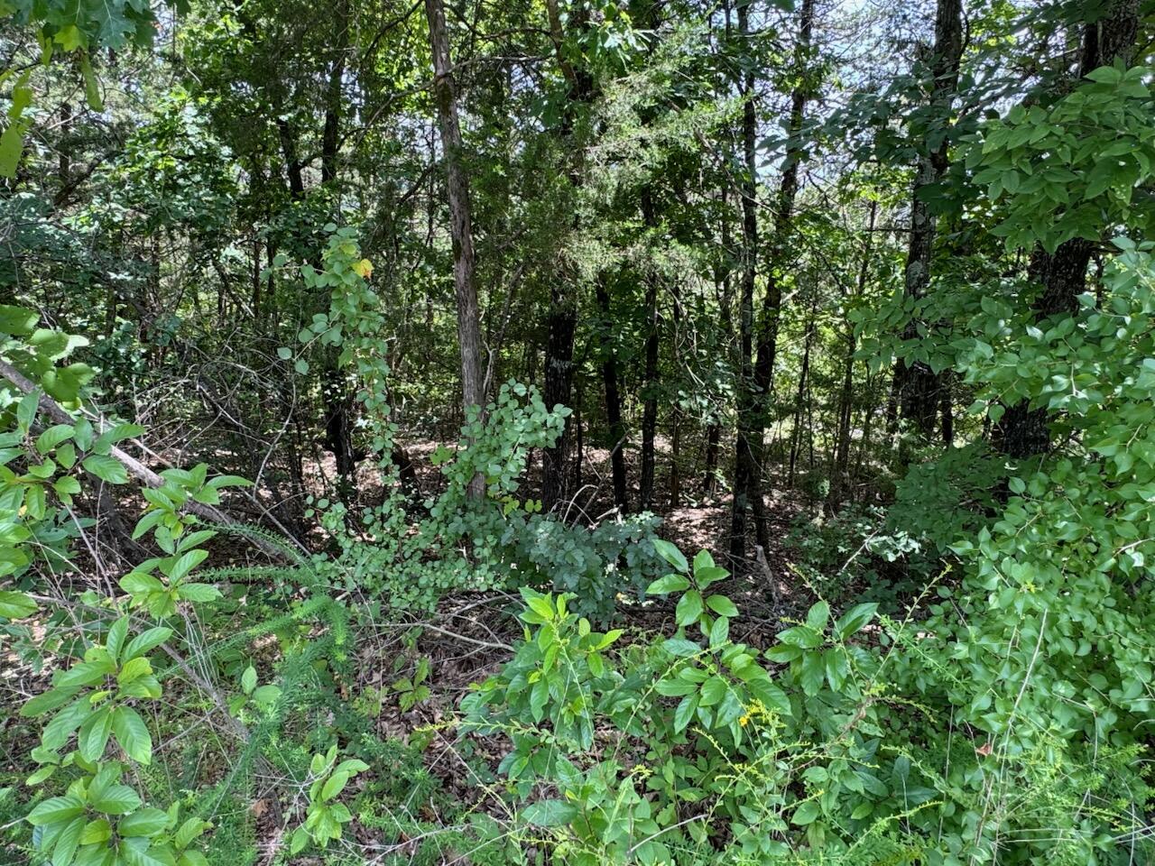 Photo 6 - Land for sale – 204 -  Crescent Drive (Lot 204)   Hollister, MO