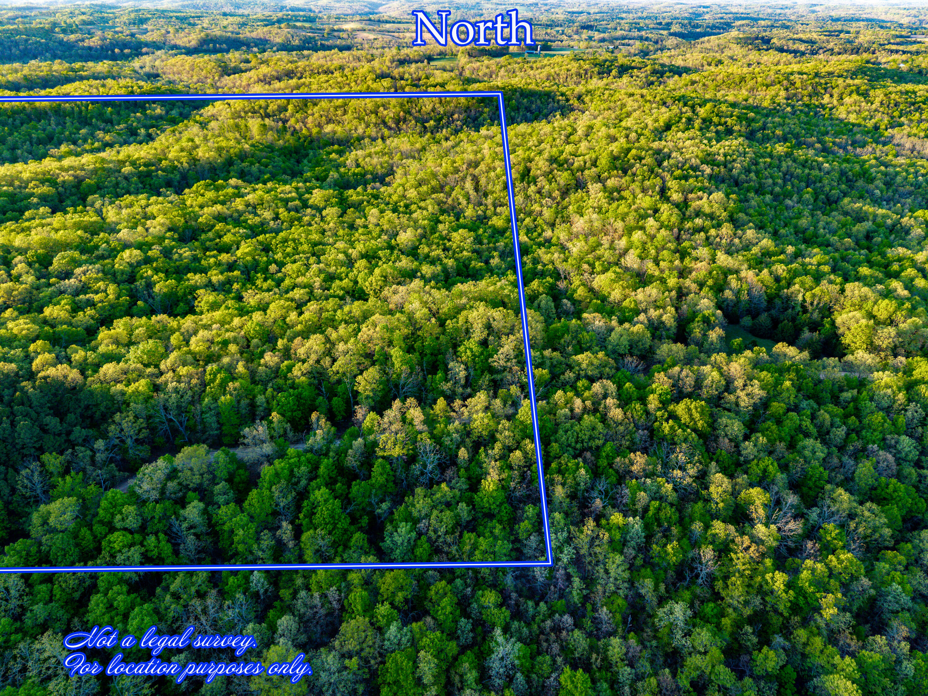 Photo 38 - Land for sale – 000  County Road 1990   Willow Springs, MO