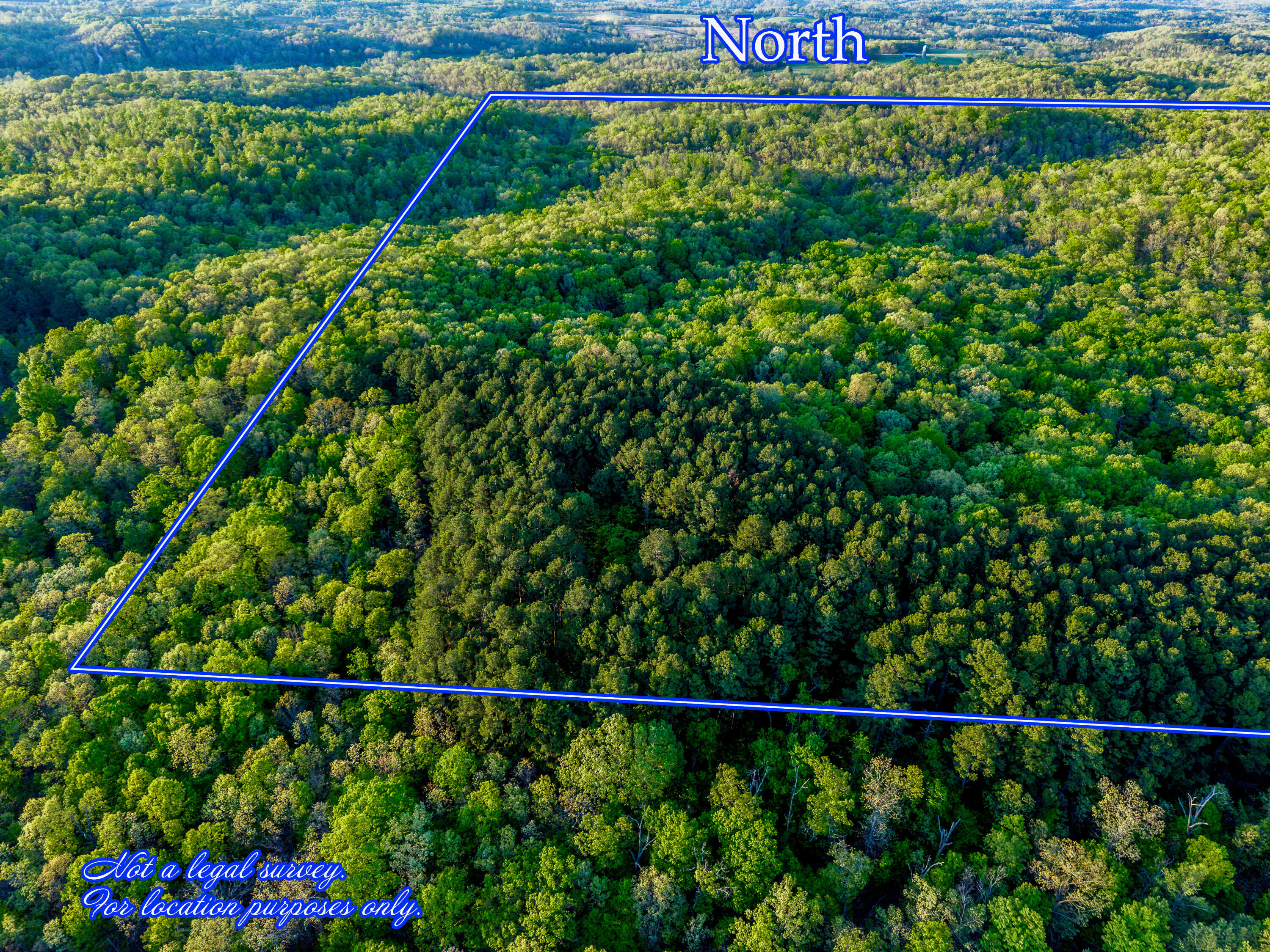 Photo 40 - Land for sale – 000  County Road 1990   Willow Springs, MO