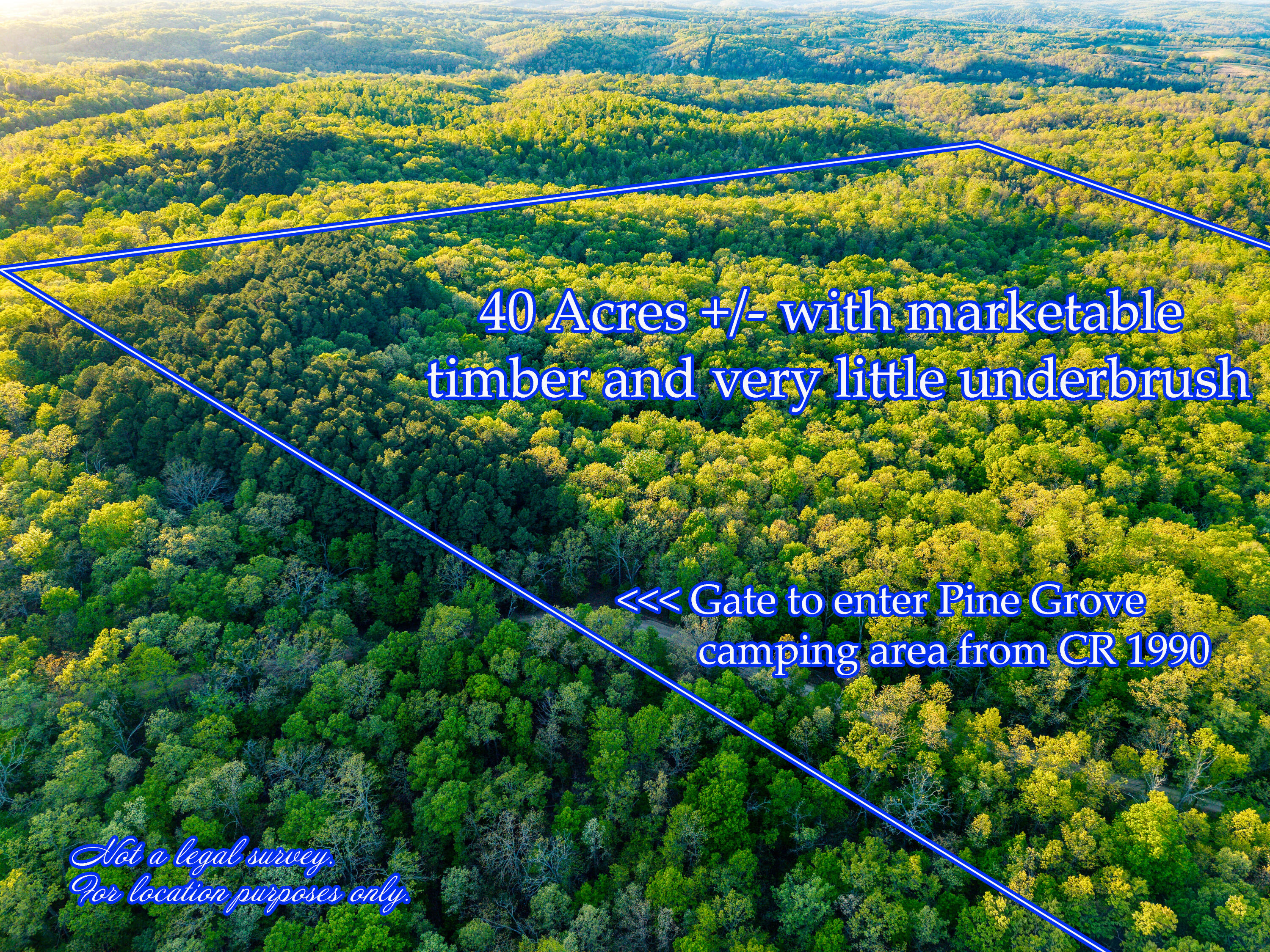 Photo 37 - Land for sale – 000  County Road 1990   Willow Springs, MO