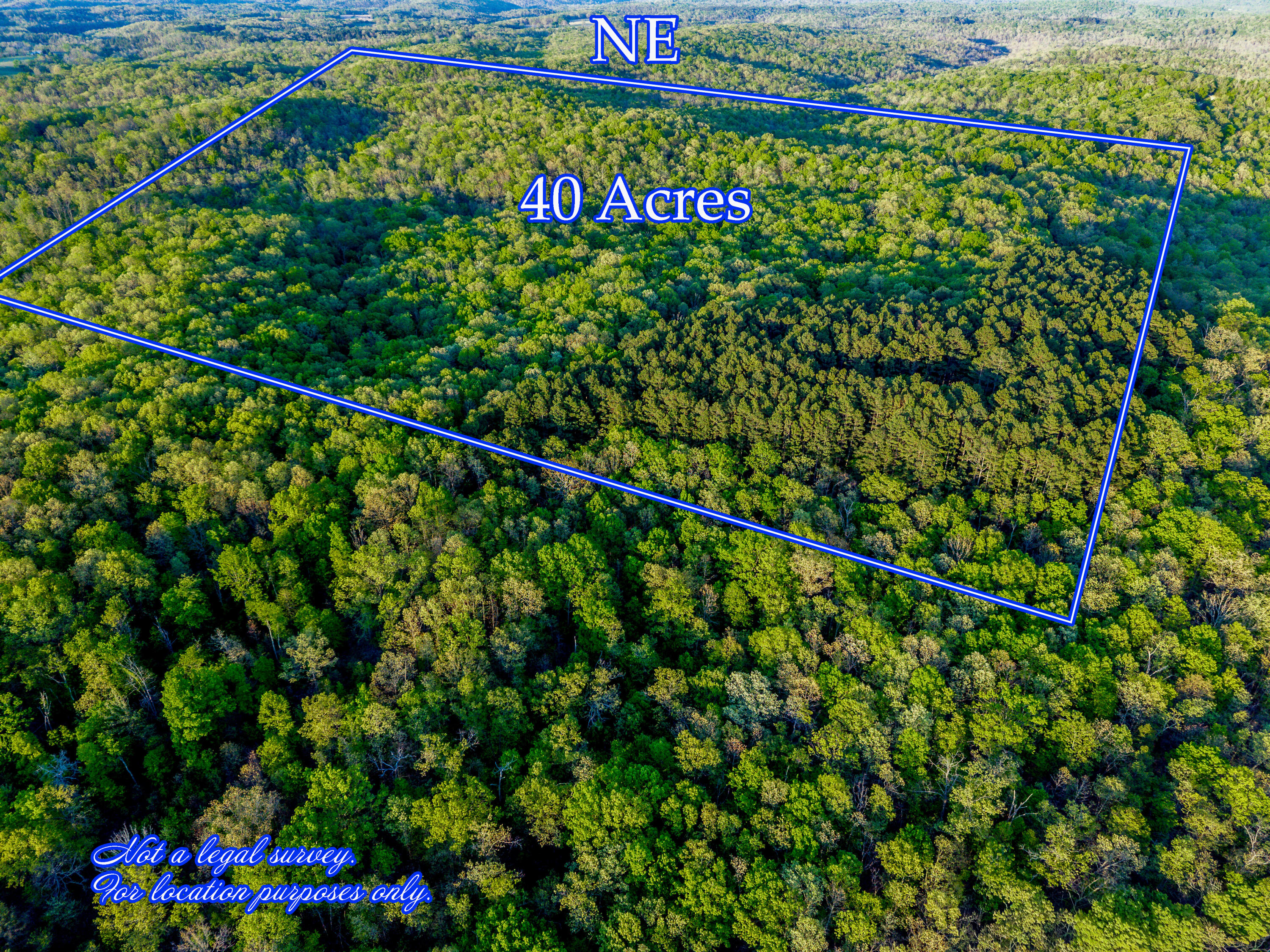 Photo 4 - Land for sale – 000  County Road 1990   Willow Springs, MO