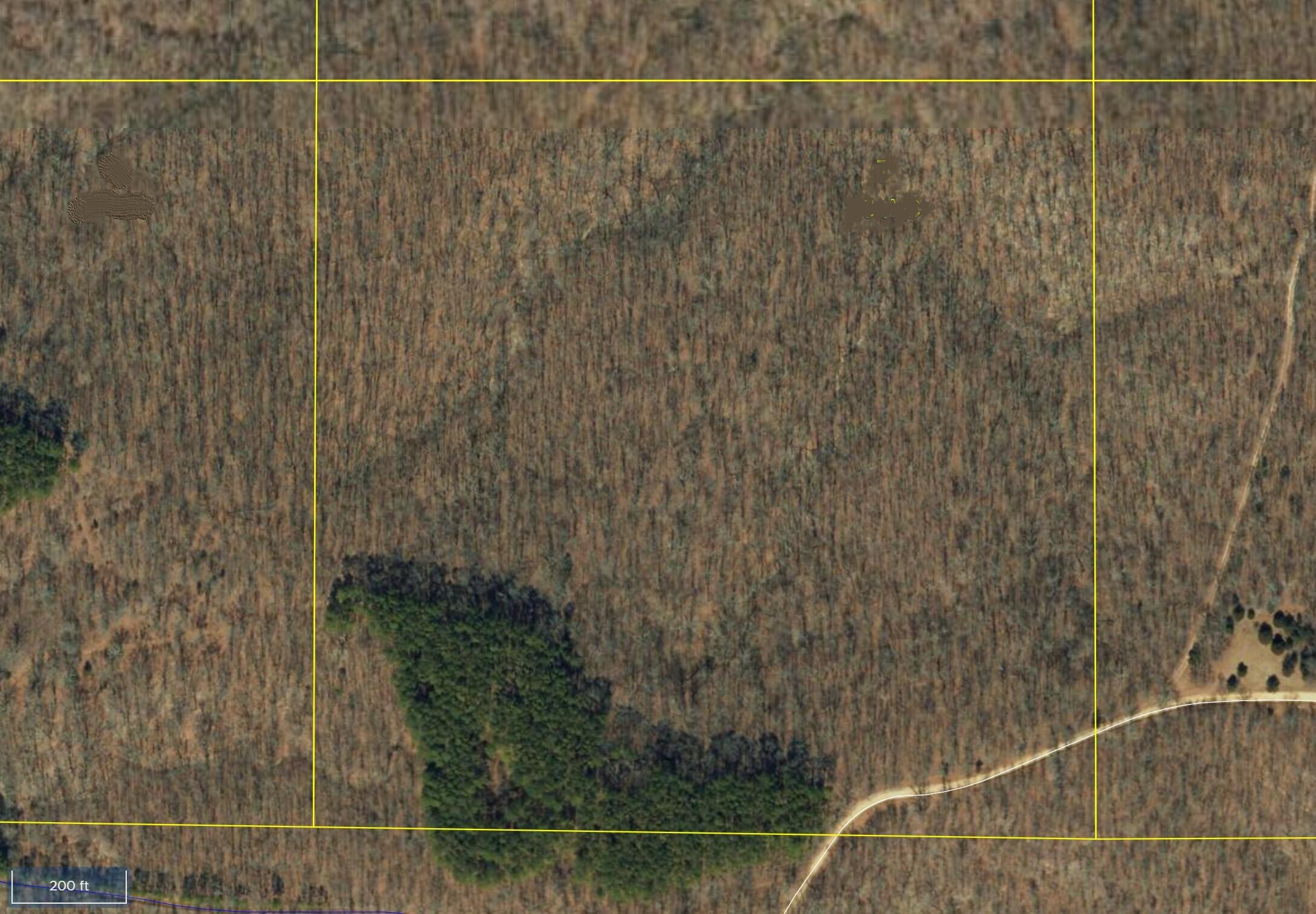 Photo 9 - Land for sale – 000  County Road 1990   Willow Springs, MO