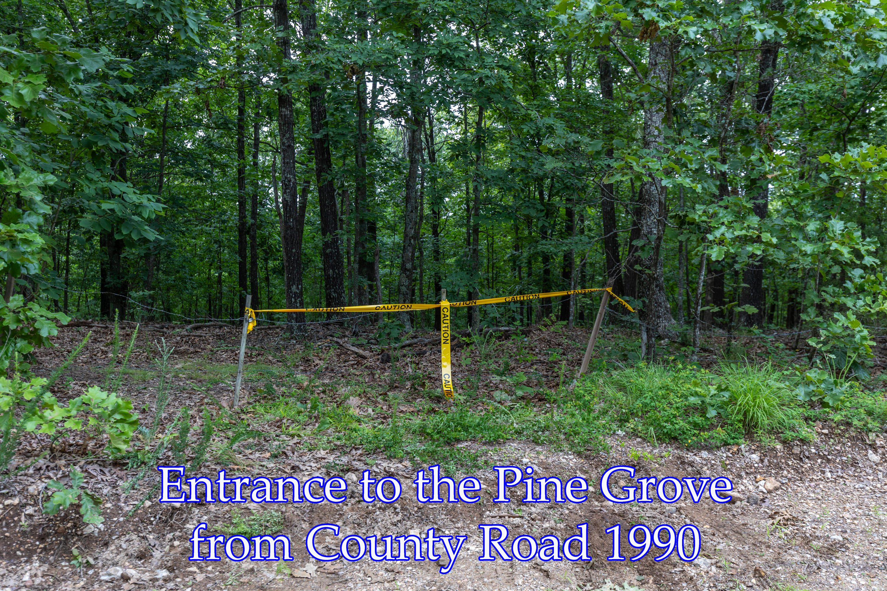 Photo 10 - Land for sale – 000  County Road 1990   Willow Springs, MO