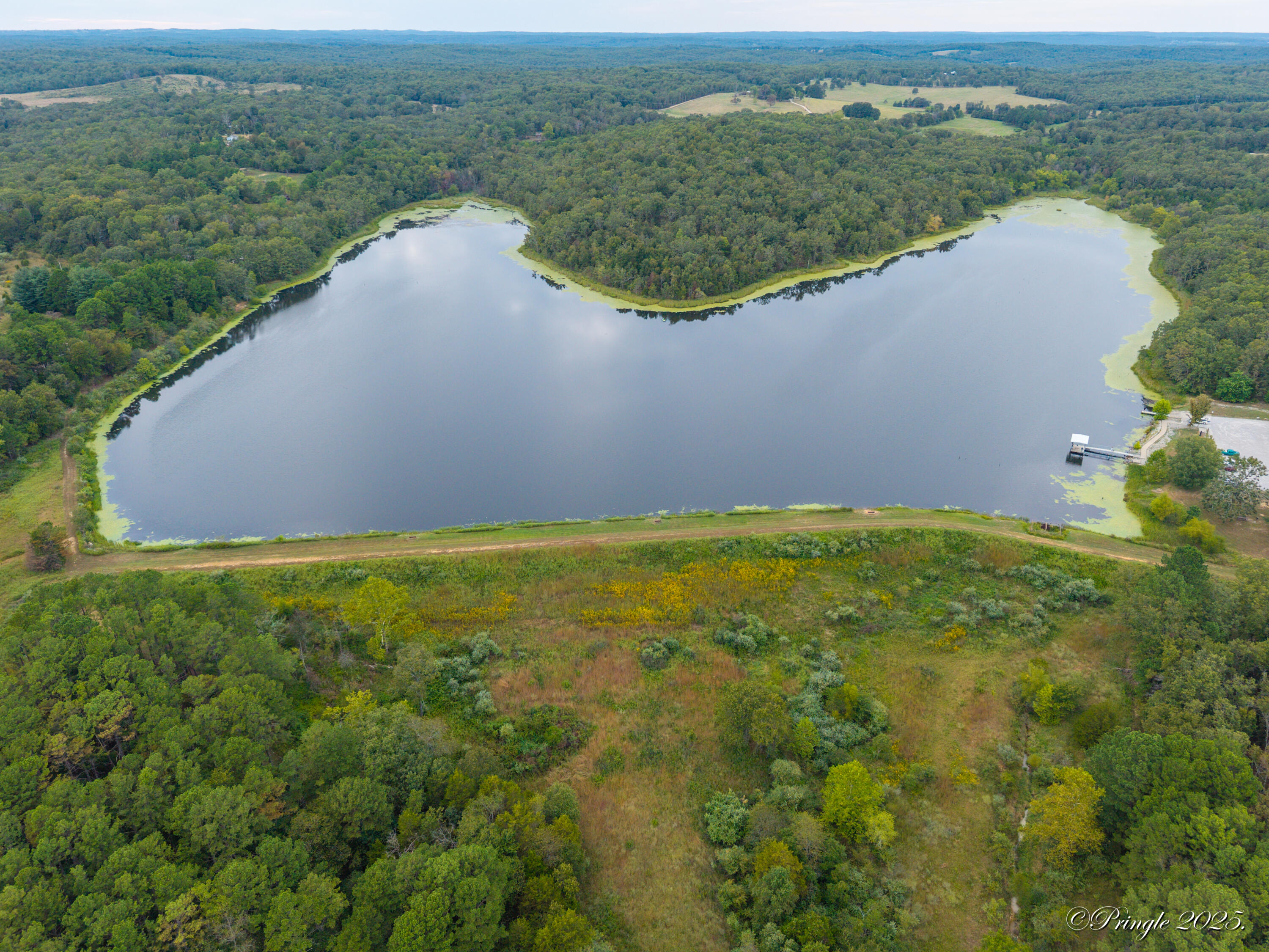 Photo 8 - Land for sale – 000  County Road 1990   Willow Springs, MO