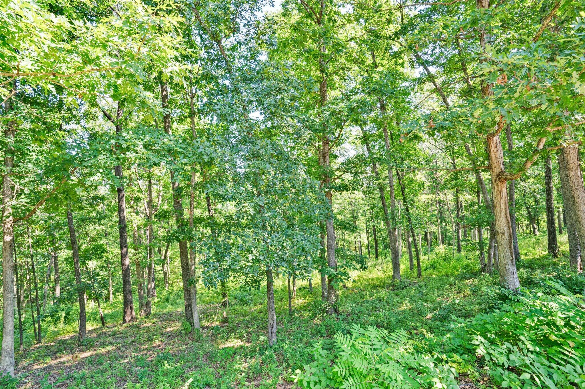 Photo 45 - Residential for sale – 538  Munson Hill Drive  Marshfield, MO