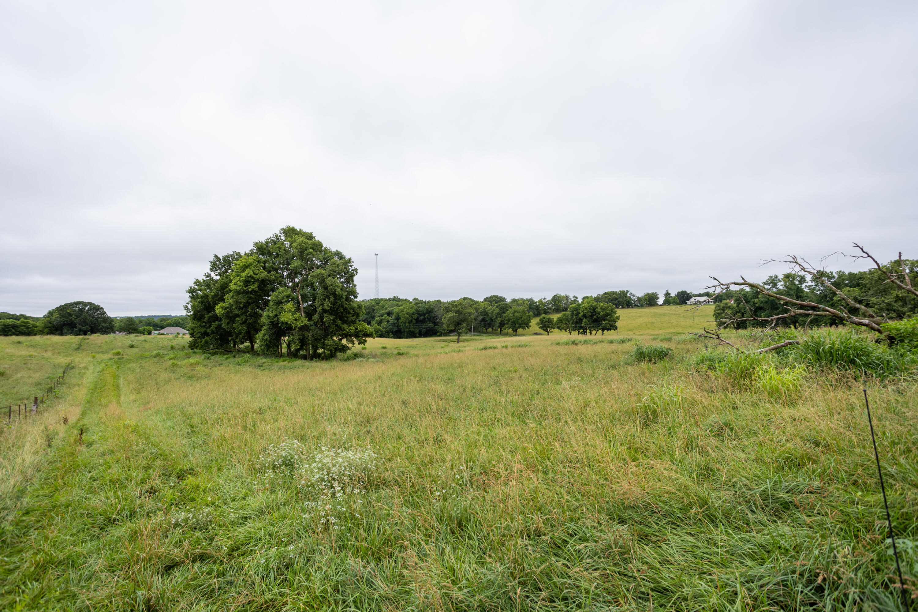 Photo 17 - Land for sale – Tract 2  Fraizer Road  Clever, MO
